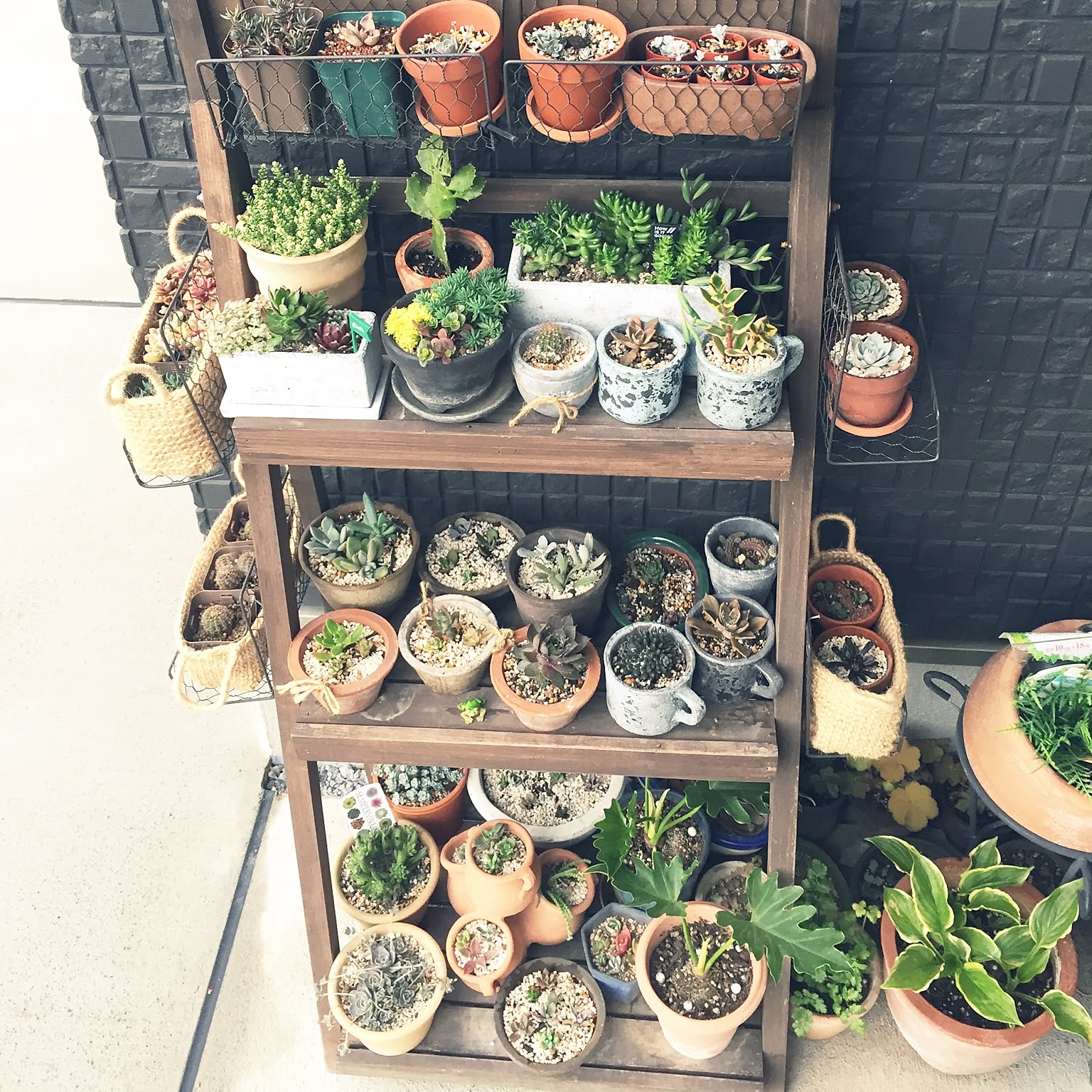 9fbba2c1aa69af591433b3a3c22f41