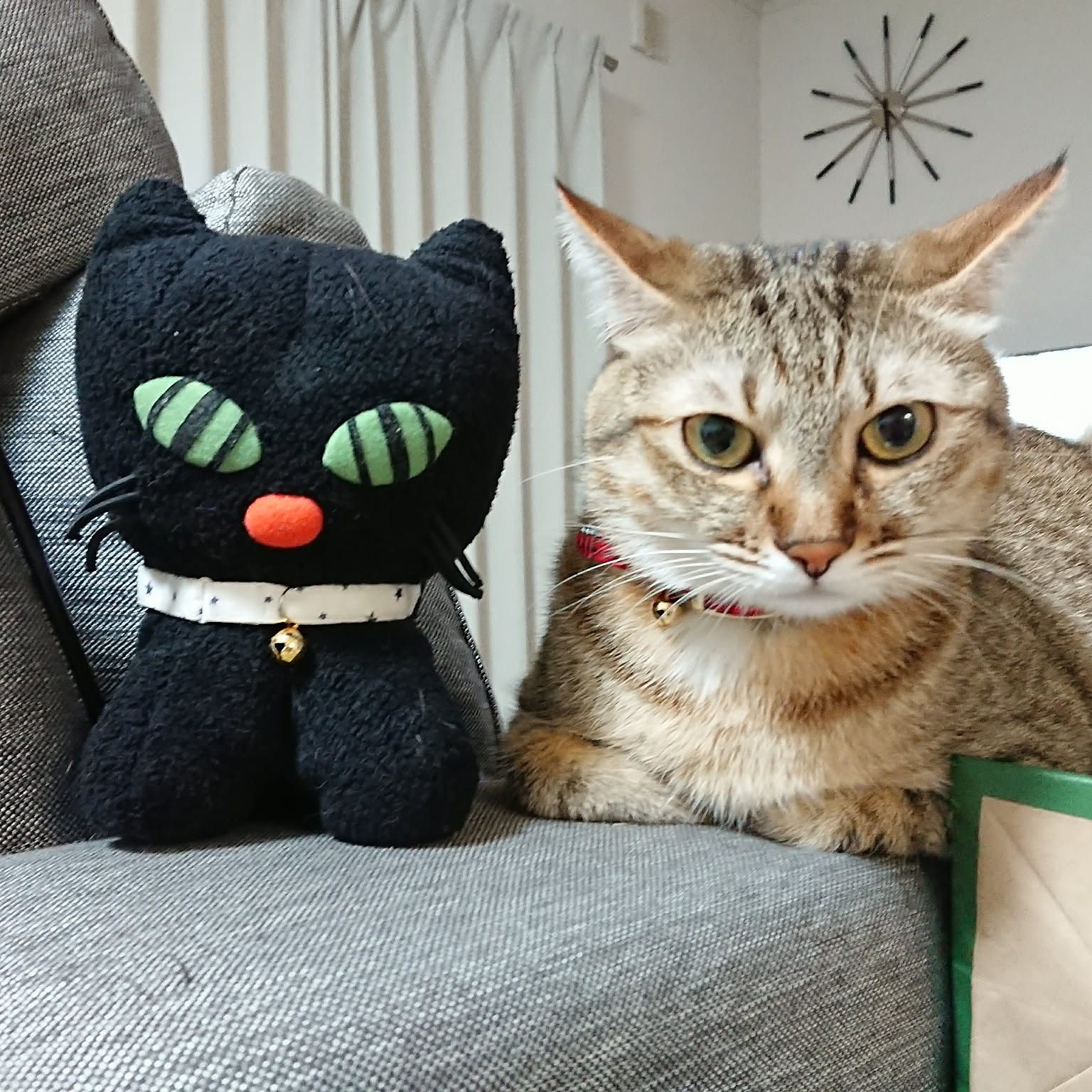 スクラッチ ぬいぐるみ L スクラッチ 内藤デザイン研究所 黒猫