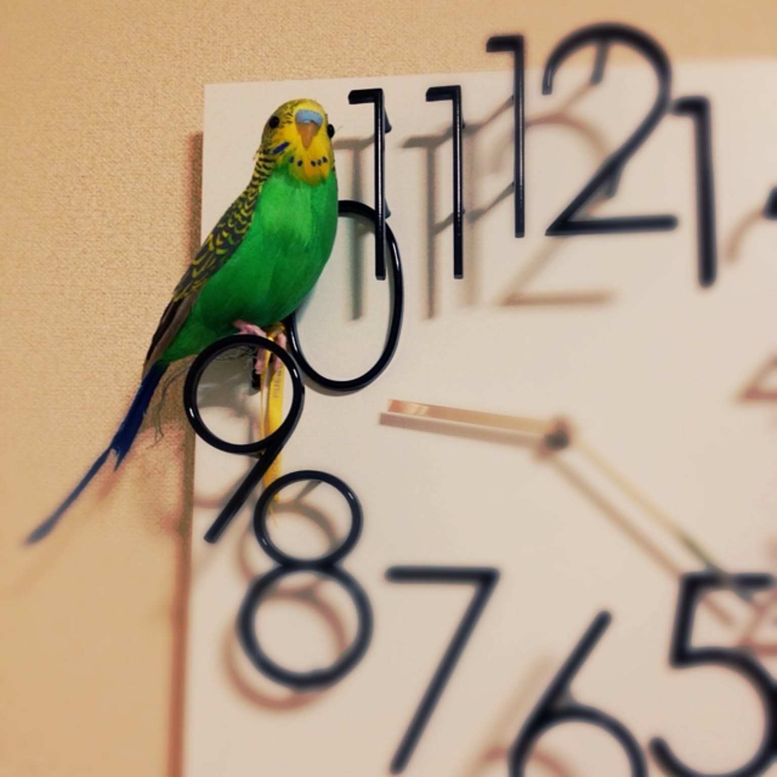 a01f5e3f60ad74e599e40ead49b1b6