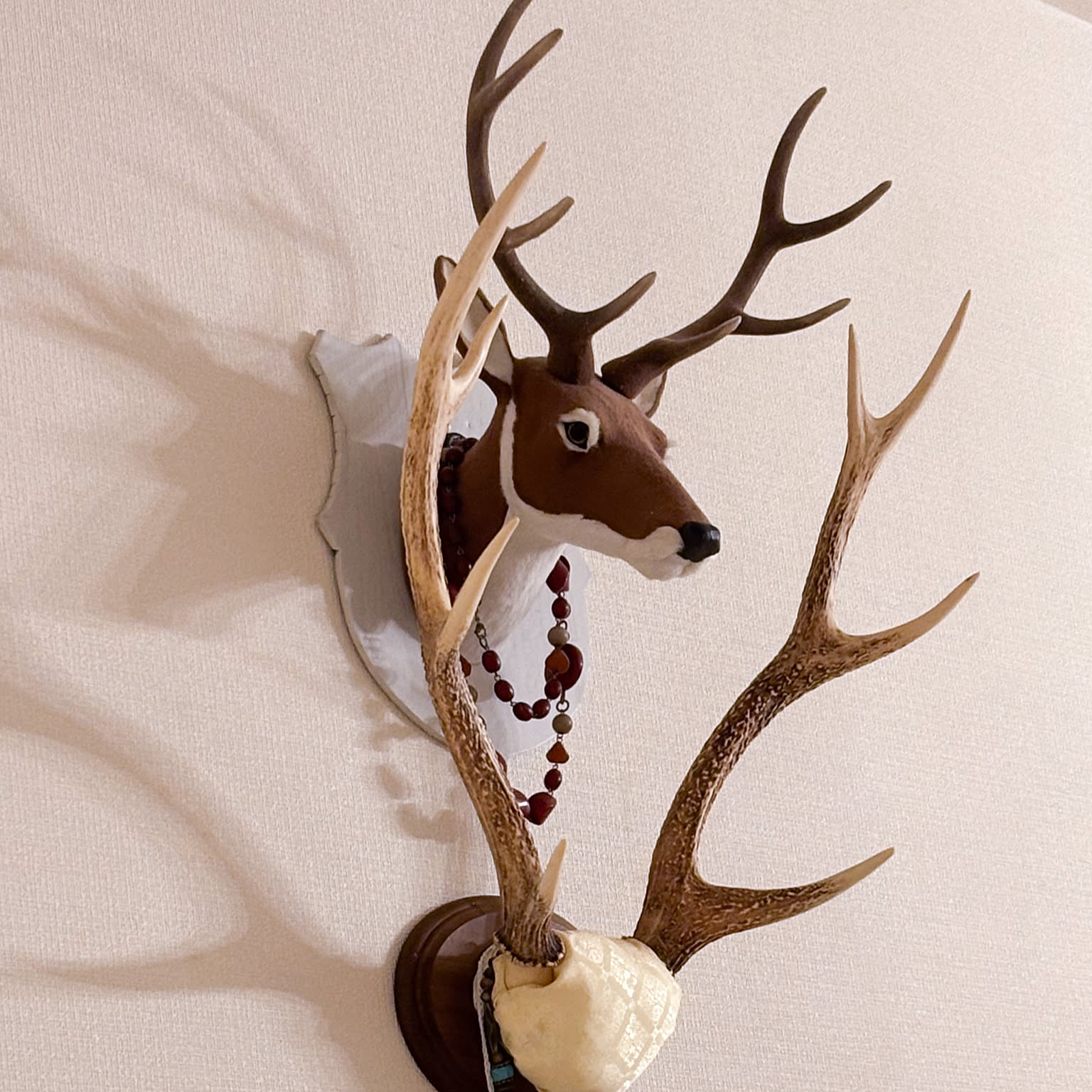 ハンティングトロフィー 鹿のインテリア実例 ｜ RoomClip（ルーム