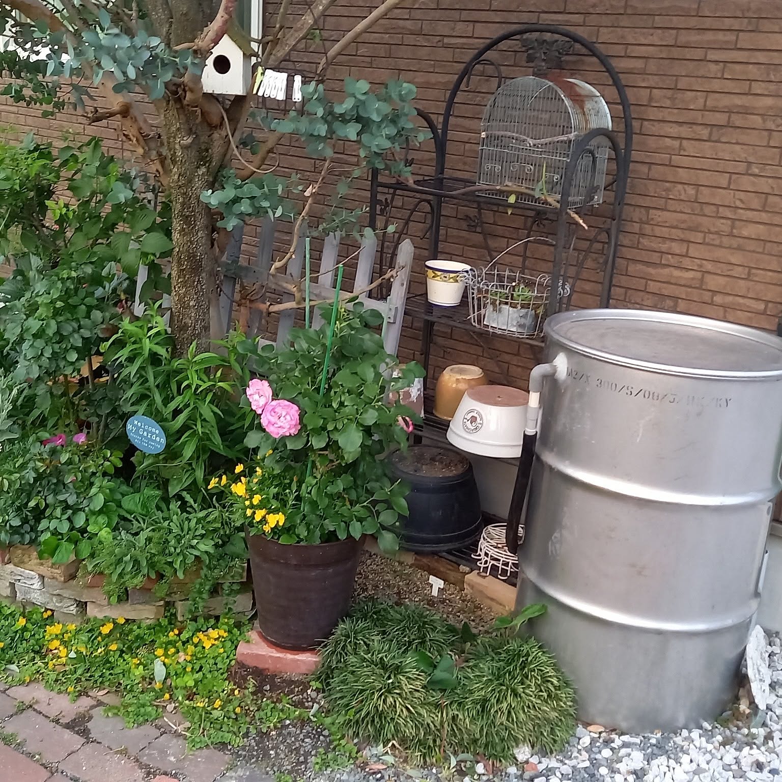 アンティークな家 室内ガーデニング 貯水タンク（S） 室内植物 水やり方法 maxresdefault.jpg