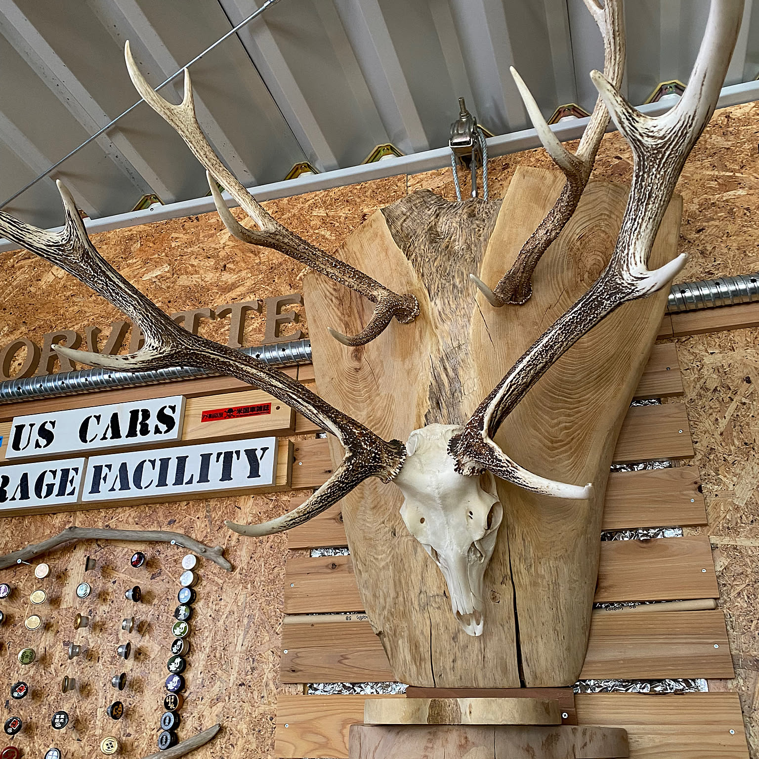 鹿の角 鹿のおしゃれなアレンジ・飾り方のインテリア実例 ｜ RoomClip