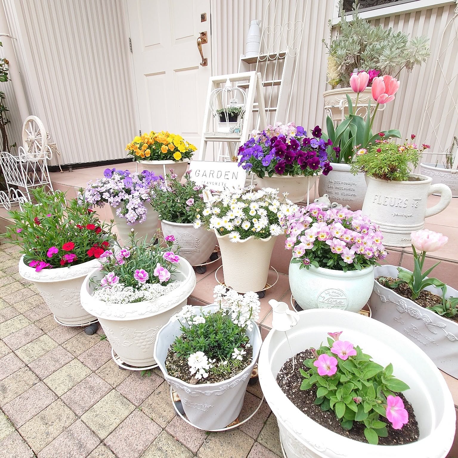 ☆新春の寄せ植え☆長く楽しむ☆寄せ植え☆３鉢セット☆ ☆新春の寄せ植え☆長く楽しむ☆寄せ植え☆3鉢セット☆ 【公式通販】