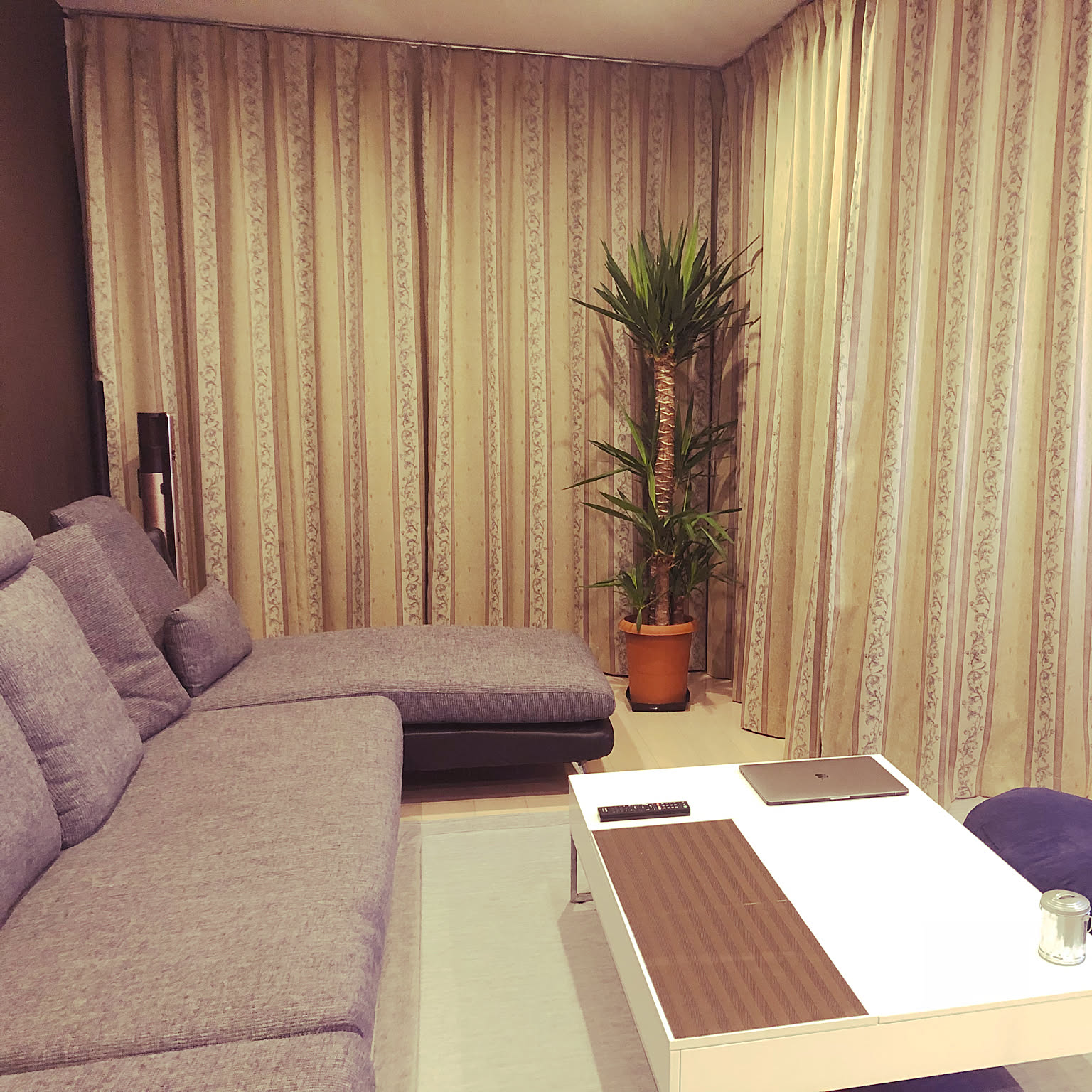 ソファ スタイルプロポーザのおすすめ商品とおしゃれな実例