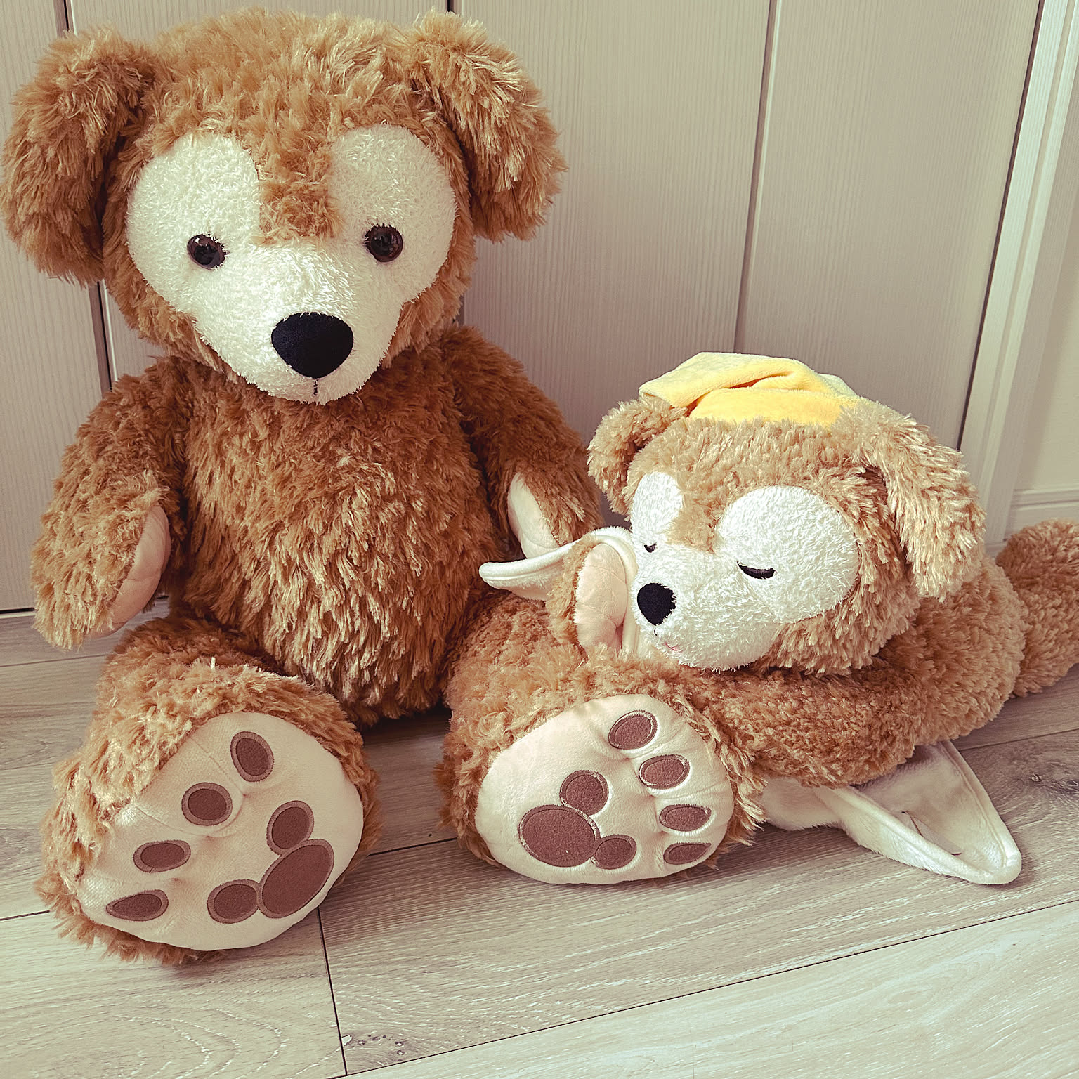 棚/ダッフィーぬいぐるみ/ディズニーシー行ってきました♩¨̮