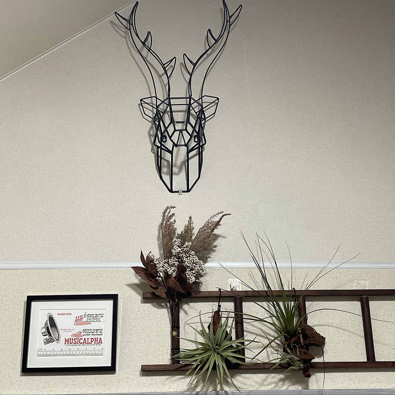 スワッグ　鹿角　鹿スカル　エゾジカ スワッグ 鹿角 鹿スカル エゾジカ 【公式通販】