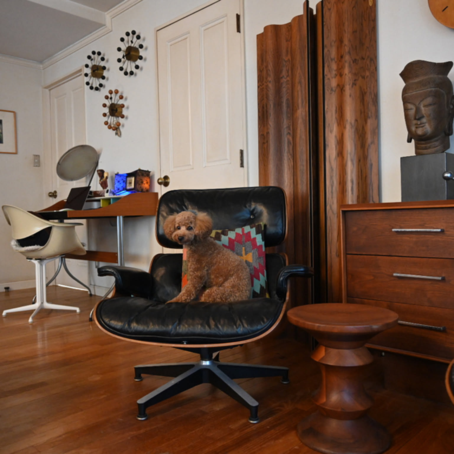 a4b6e88ddd1bd3c52274d59bb48522