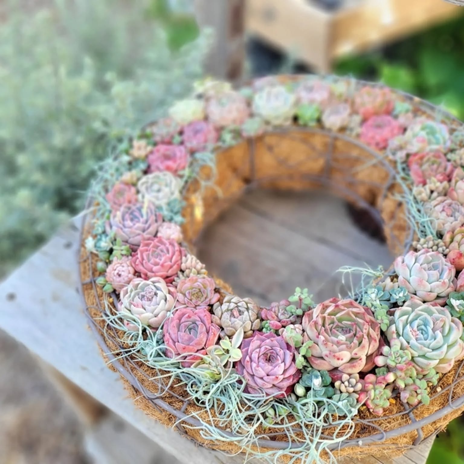 玄関/入り口/多肉植物リース/ナチュラルガーデン/多肉植物の寄せ植え  