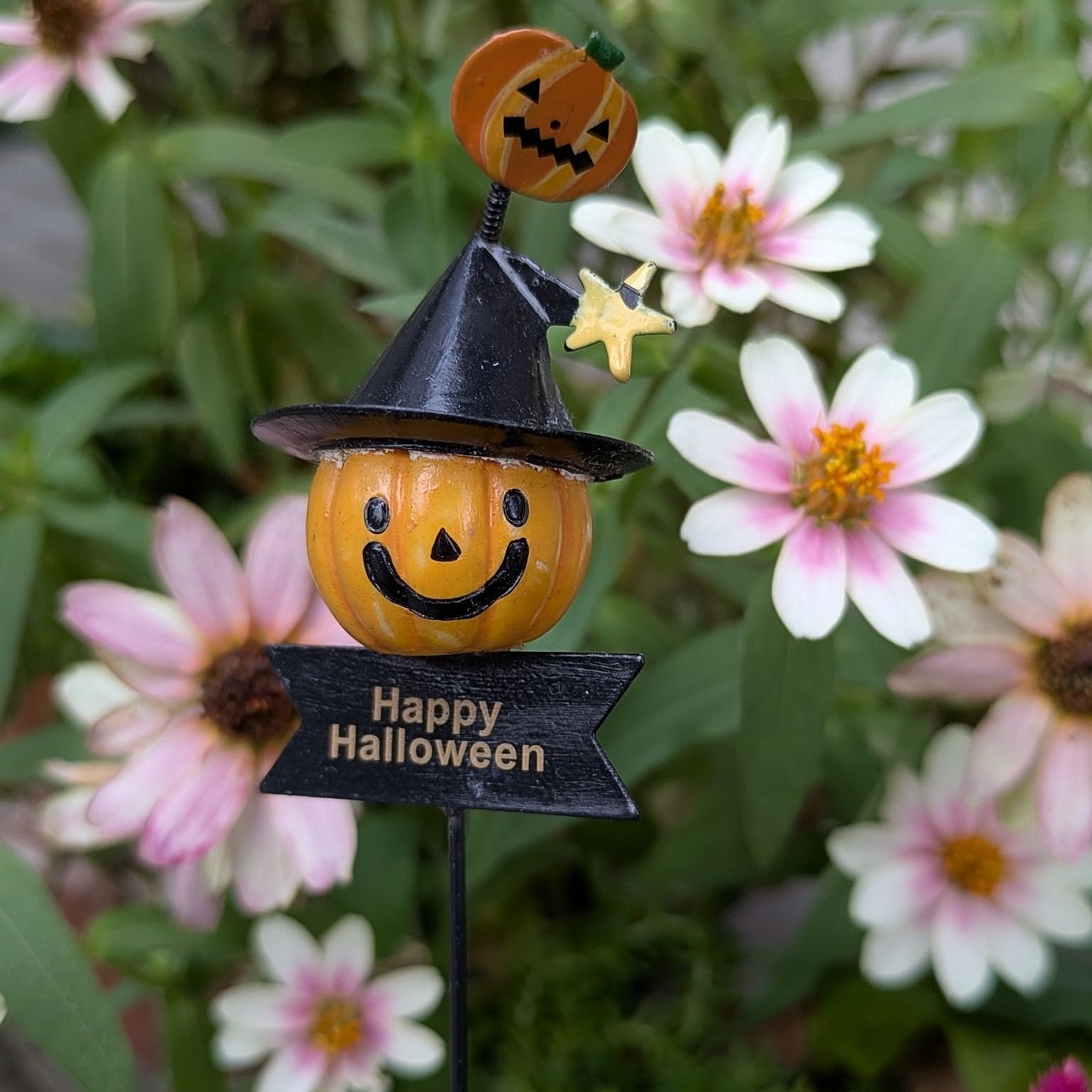 ハロウィン ピック 植木鉢にさしたり 部屋の飾りに ハロウィン ピック