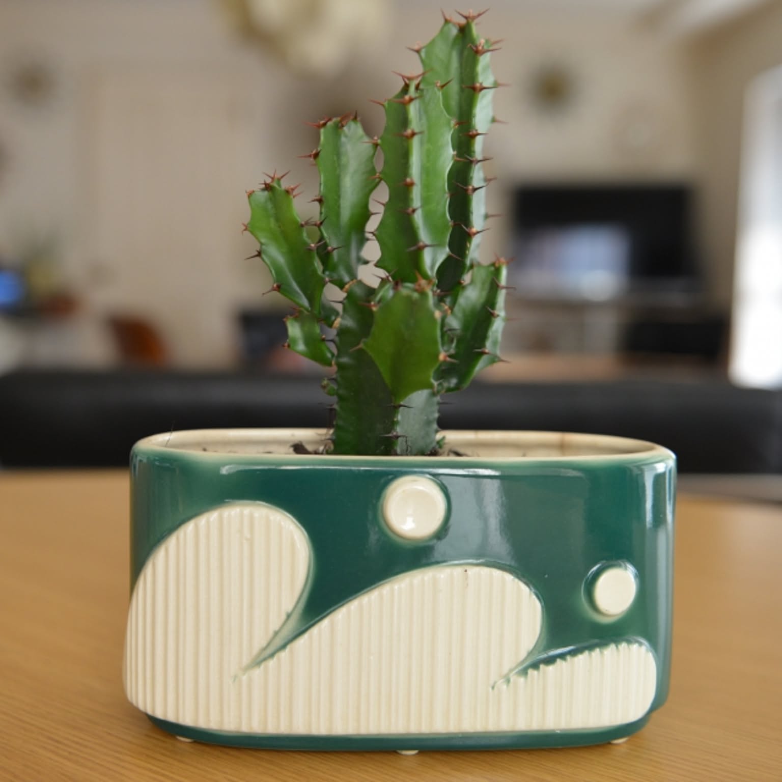 ミッドセンチュリー プランターのおすすめ商品とおしゃれな実例