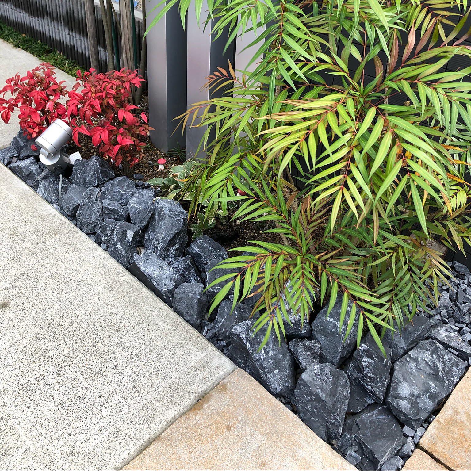 庭造りdiy/オタフクナンテン/マホニアコンフューサ/ロックガーデン