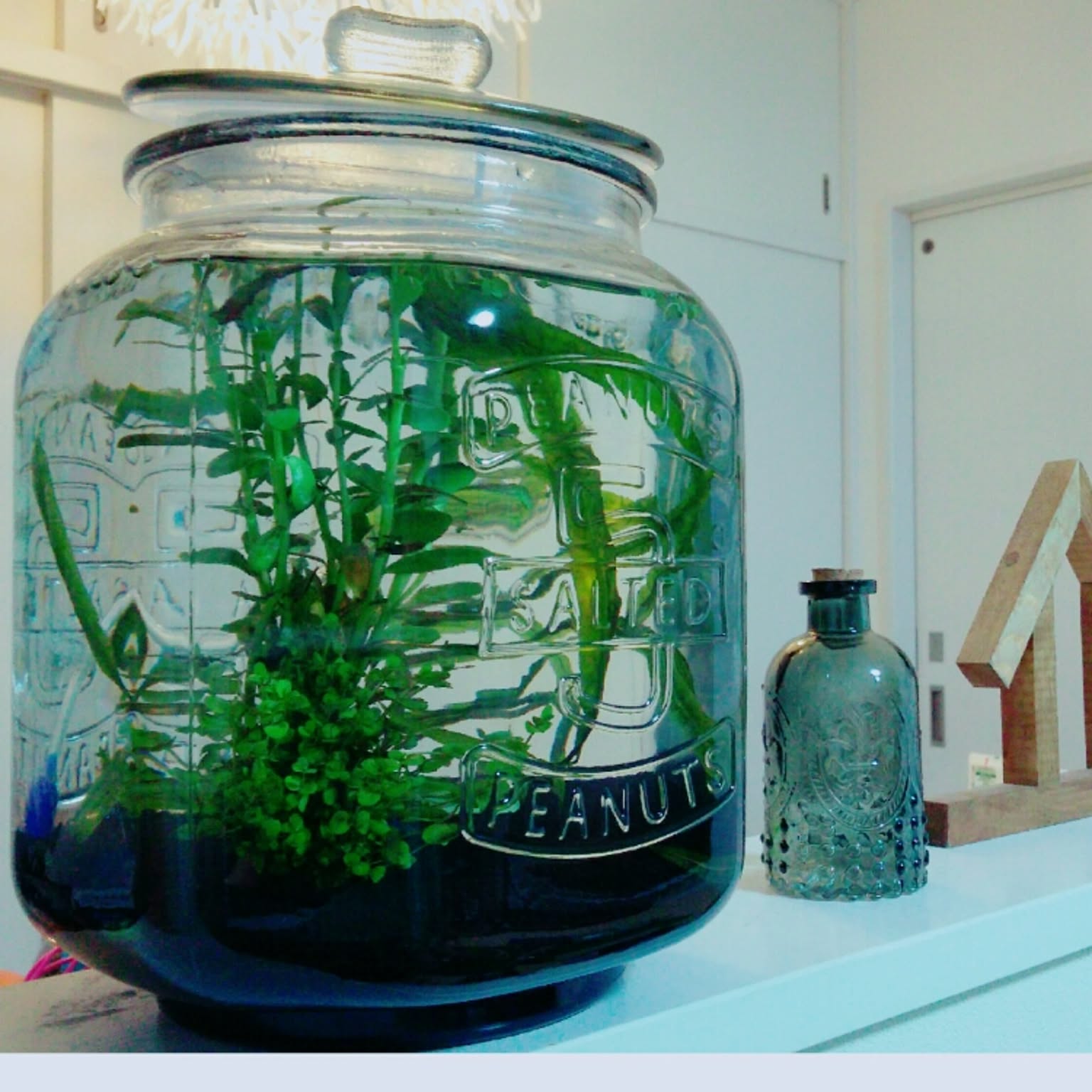 a7fe110df978bc98a29878c1bc5f4f