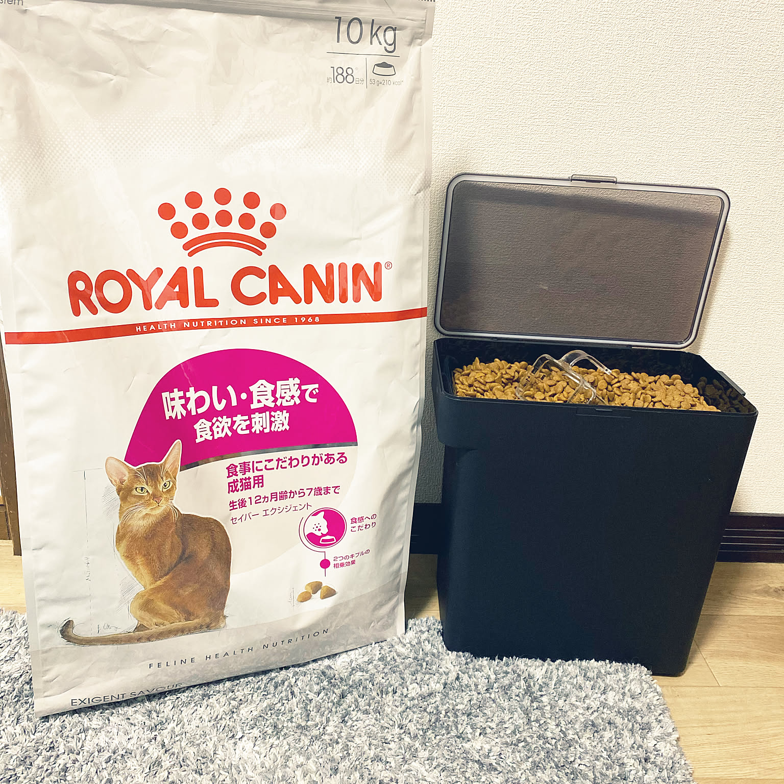 ロイヤルカナン インドア 室内で生活する成猫用~7歳まで 4kg×