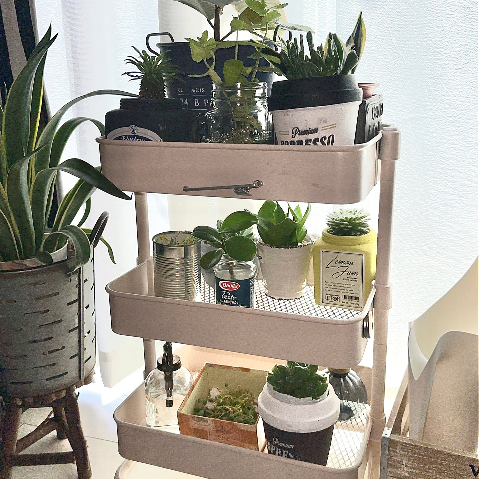 No220 momoka商品 　三角お屋根4段多肉植物棚White No220 momoka様専用商品 三角お屋根4段多肉植物棚White