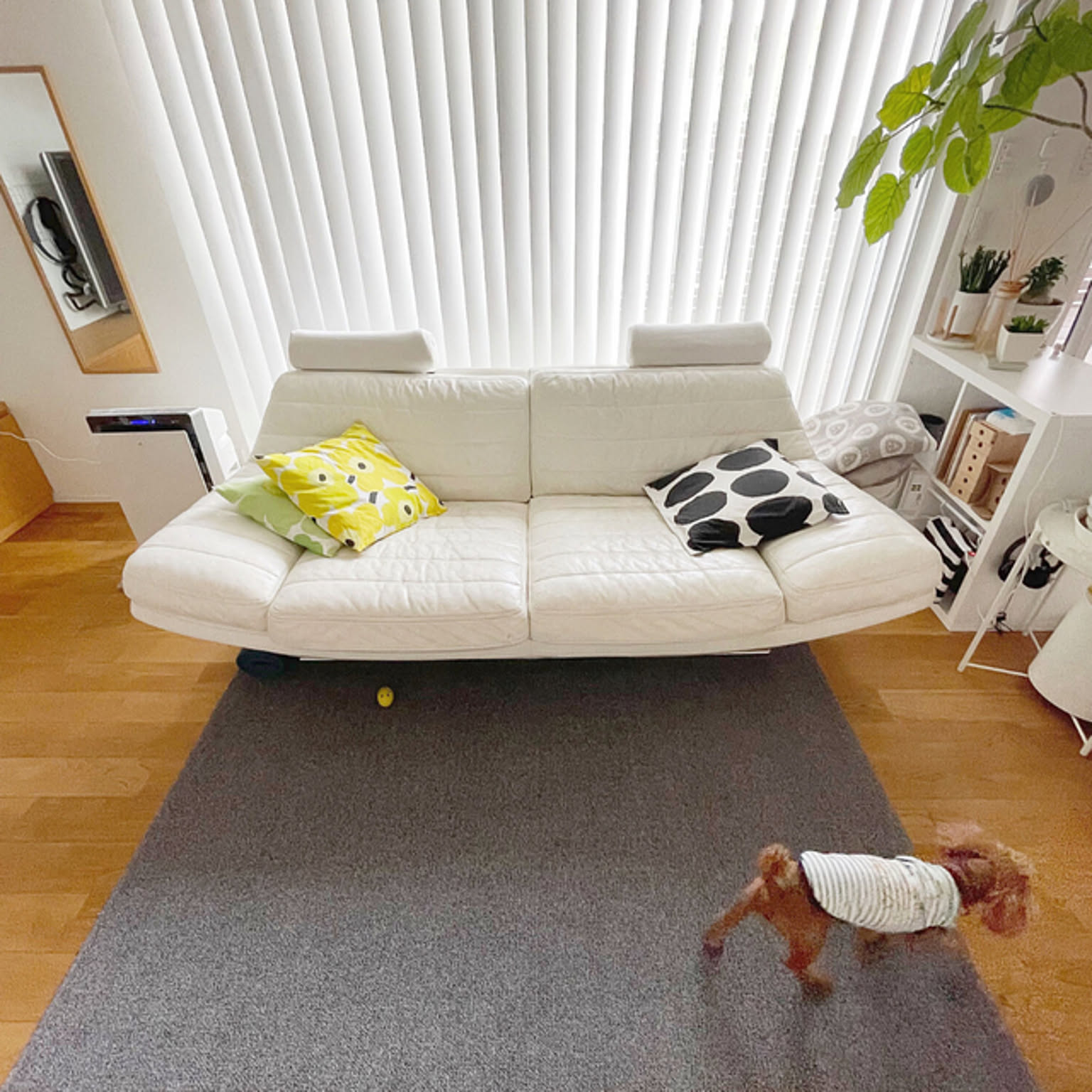 a90d08f163c2911666a9df23d7f4cc