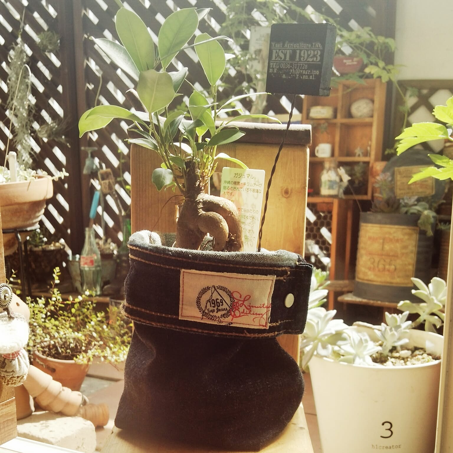 鉢カバー ジーンズリメイクのおすすめ商品とおしゃれな実例