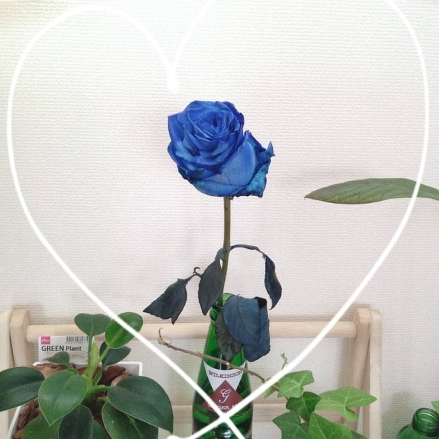 aa20733096bec72f6164f39a3321e7