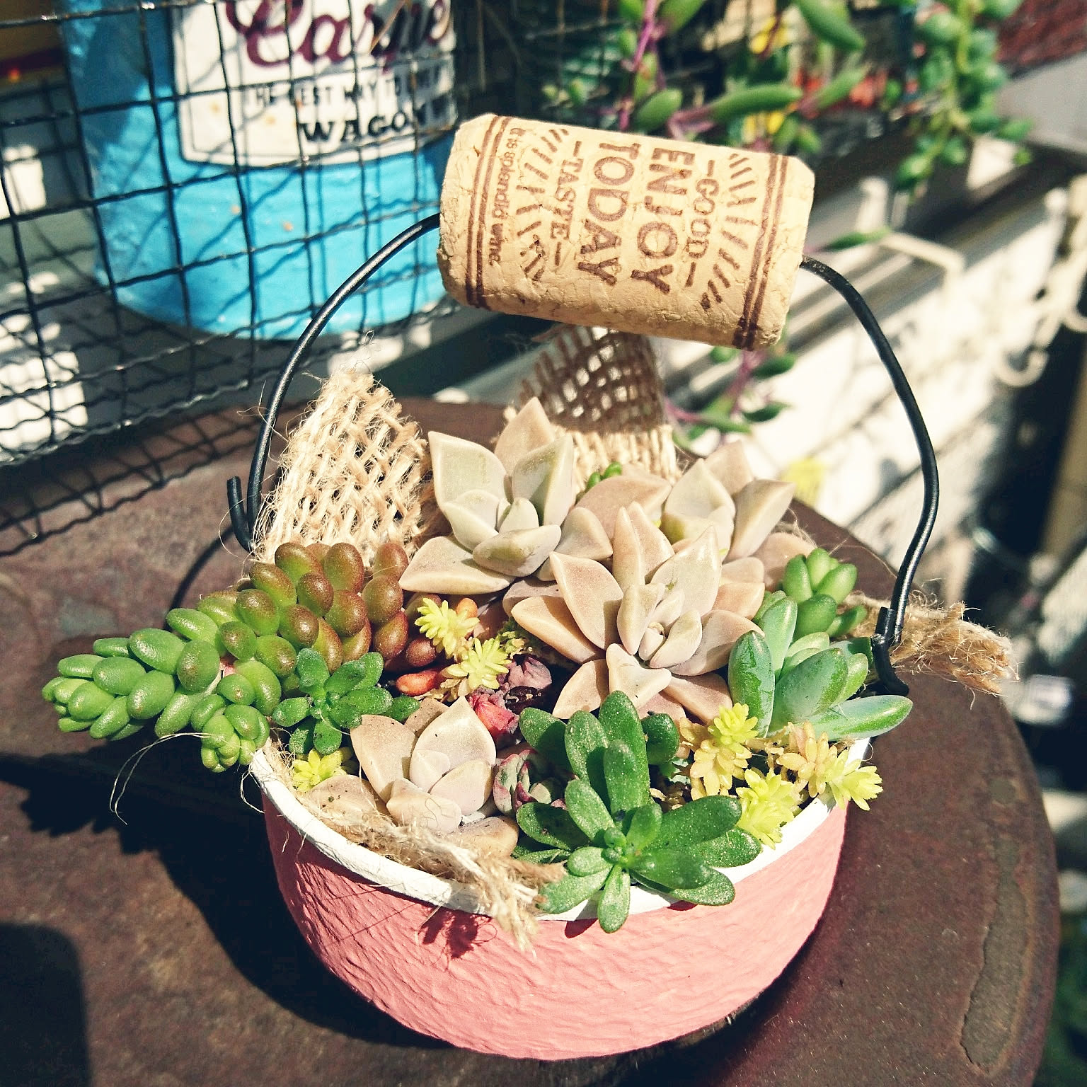 aa20cc6cae9f55f4ee91edcb011b0e