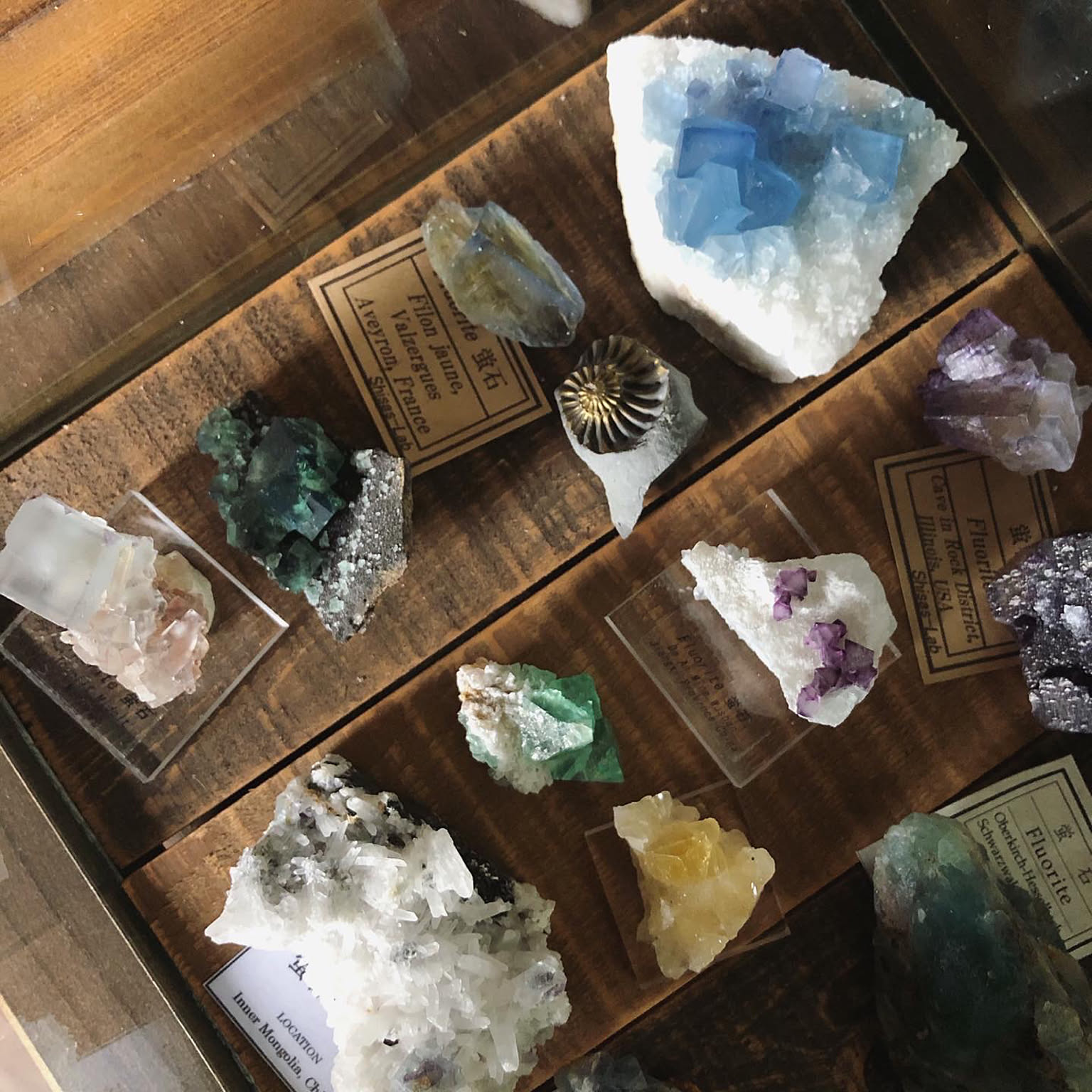 天然石水晶共生フローライトの原石 置物 鉱物NO.051715 天然石水晶共生