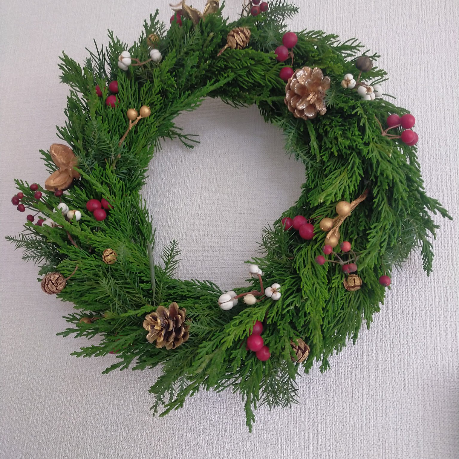 カイズカイブキ　　クリスマスリース　リース 葉っぱがいっぱい 森のイメージのクリスマスリース 葉はプリザーブド