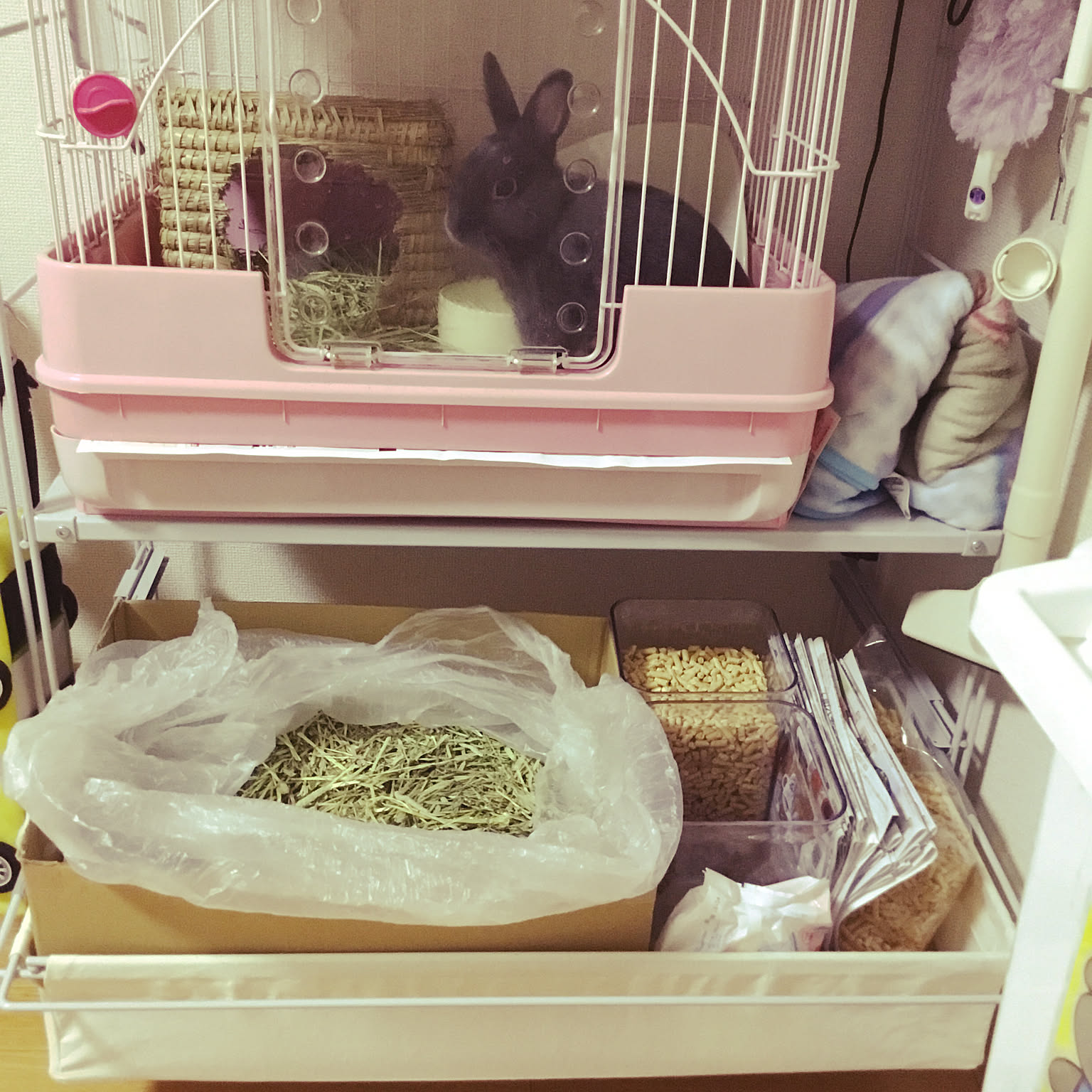 棚/うさぎと暮らす/暮らしやすく/うさぎケージ/無印良品などの