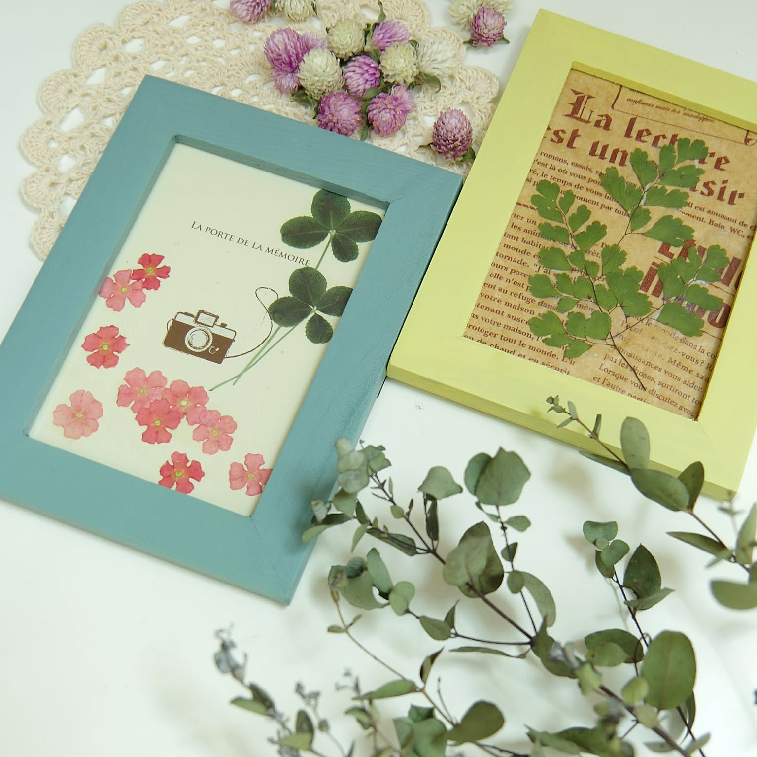 天然、露地の四つ葉のクローバー押し花のしおり♪見本