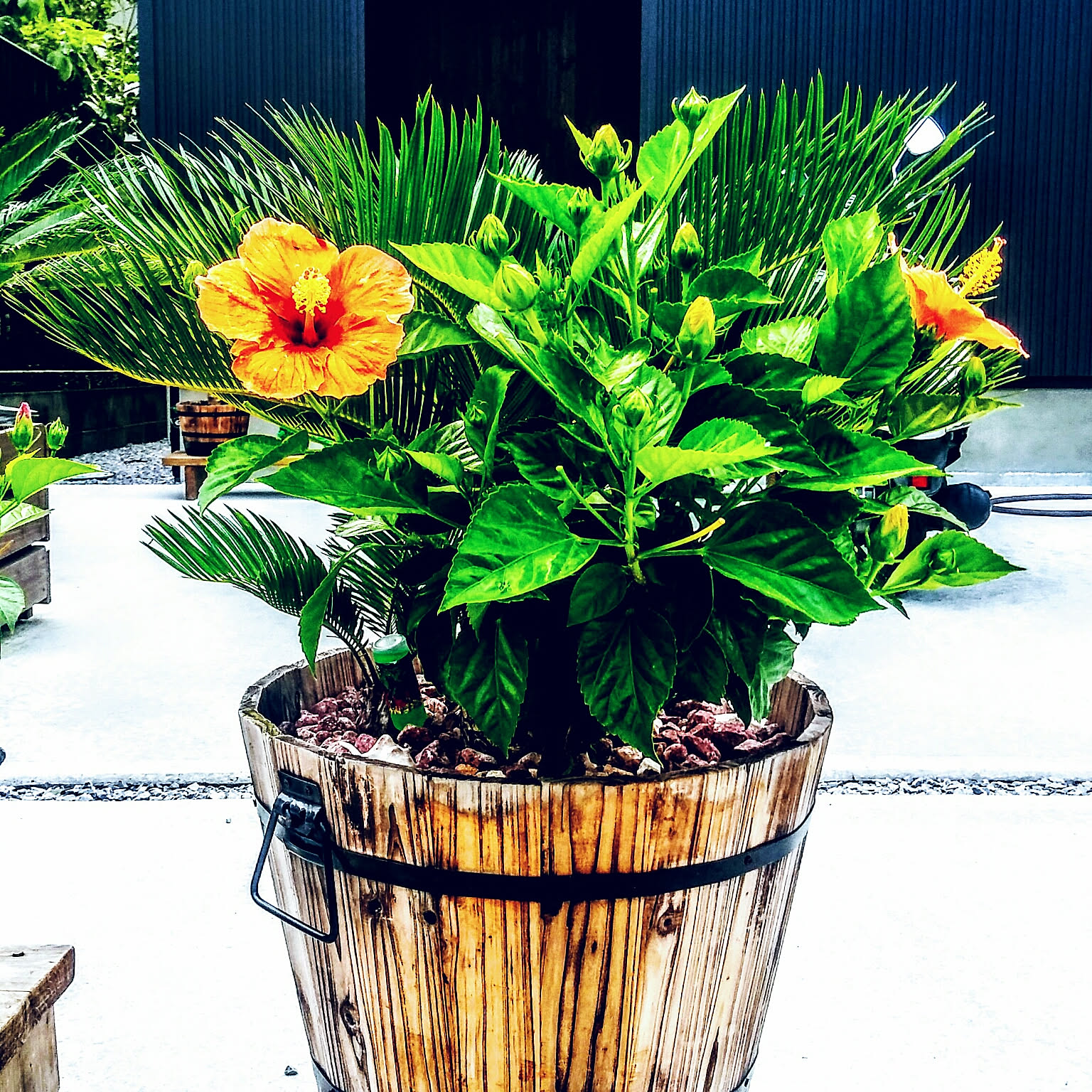 ac6c07d4d8ea5bba37c43e4b2fb127