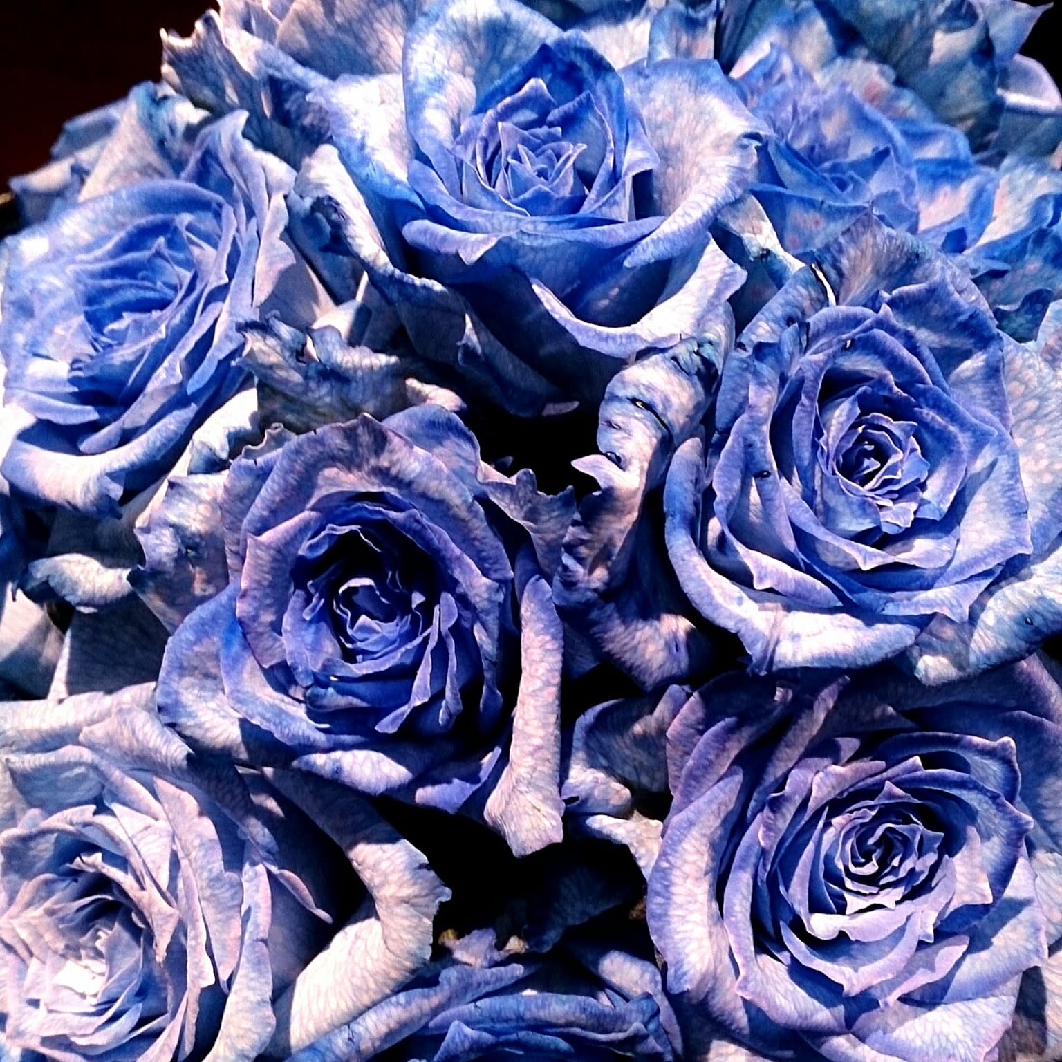 acc639f93f08d370a70a5399b1f188