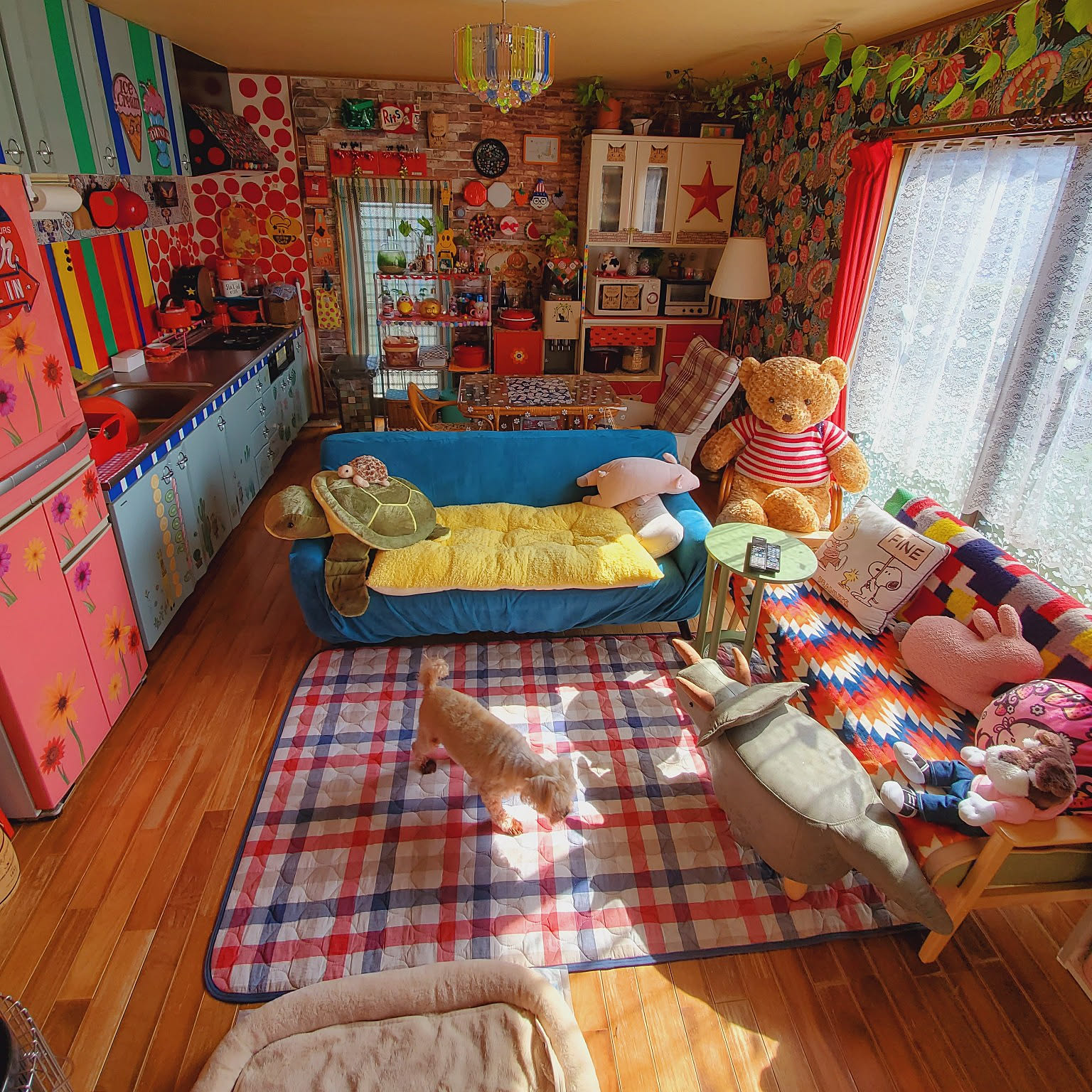 部屋全体/カラフル/日常。/犬と猫と暮らす/色とりどり♪︎などの