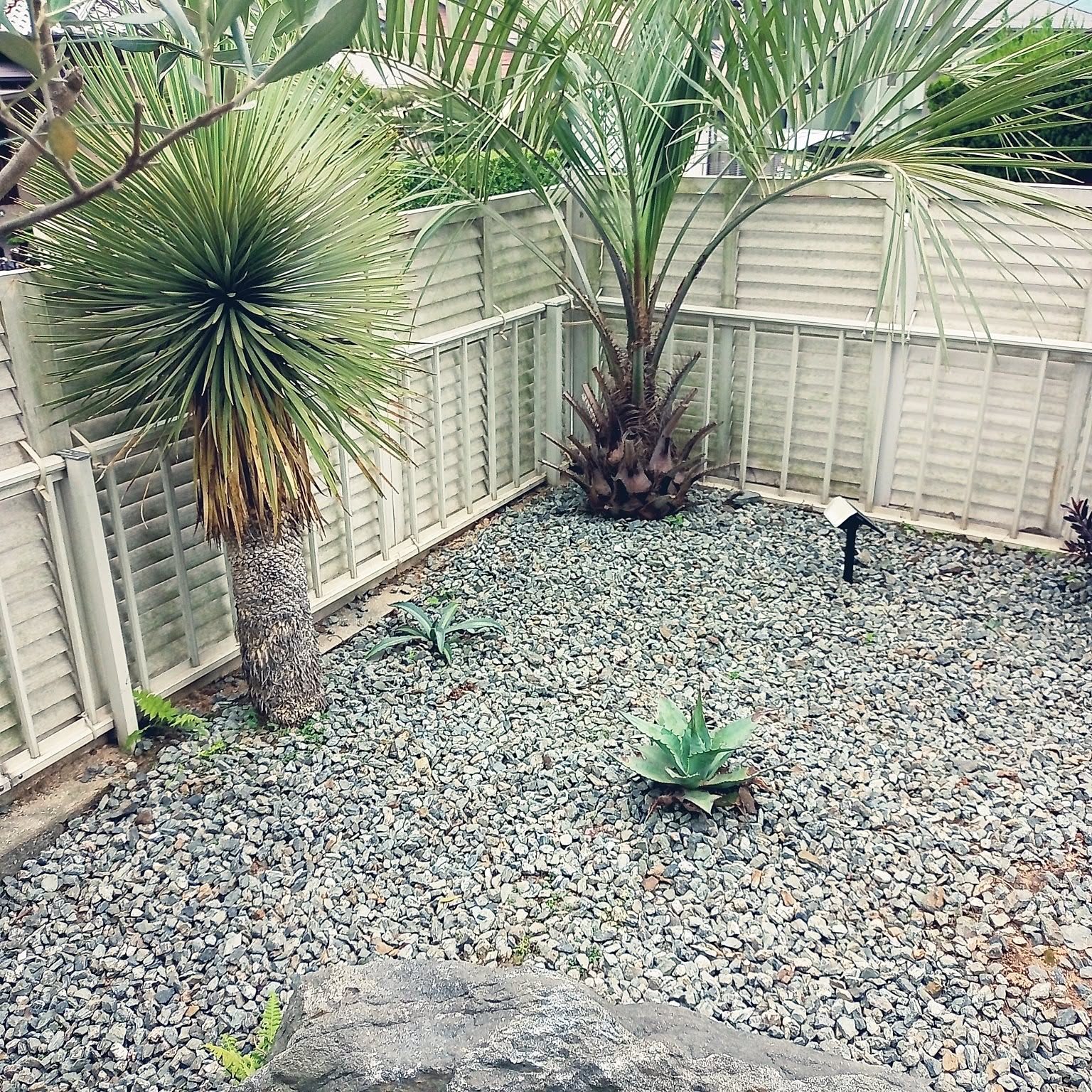 アガベ ユッカロストラータのおしゃれなアレンジ・飾り方のインテリア