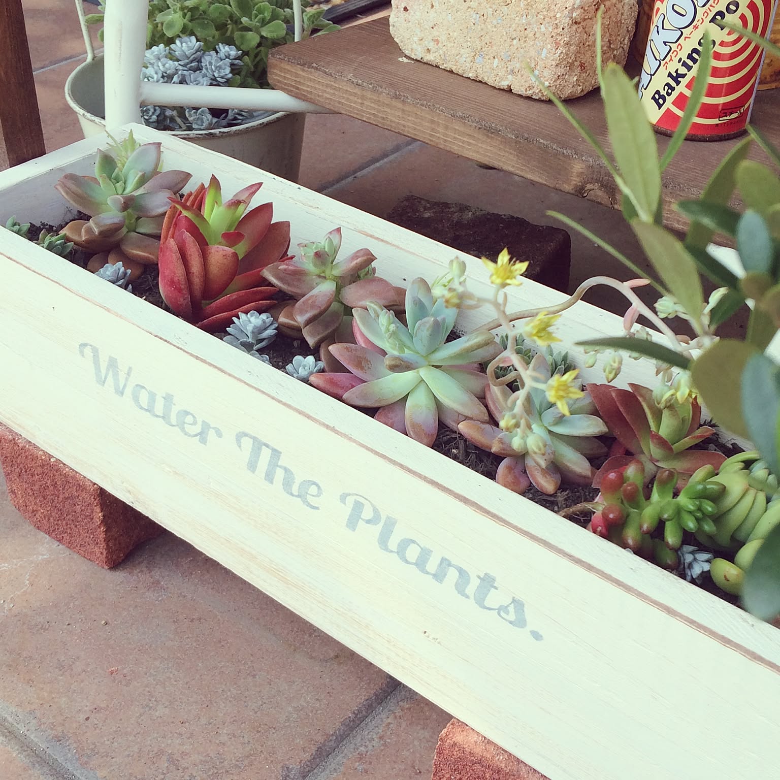 多肉植物のウッドプランターの作り方 ☆多肉植物 寄せ植え〜手作り木製