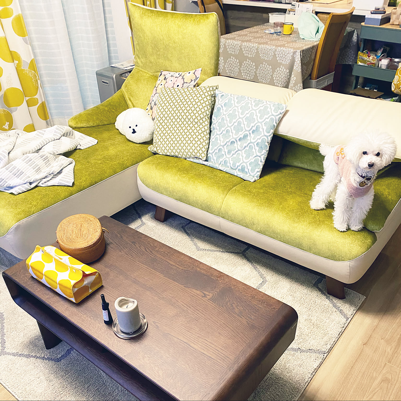 アサヒ家具ソファのおすすめ商品とおしゃれな実例 ｜ RoomClip（ルーム