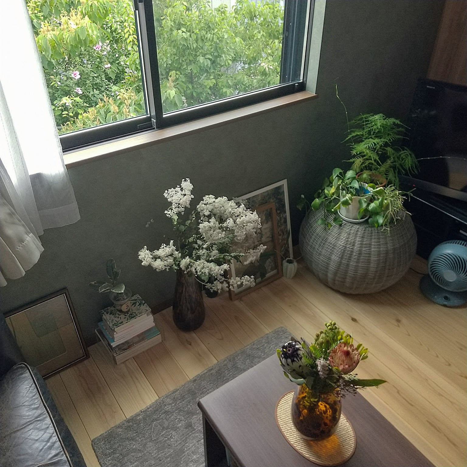 植物のある暮らし グレビレアゴールドのおすすめ商品と