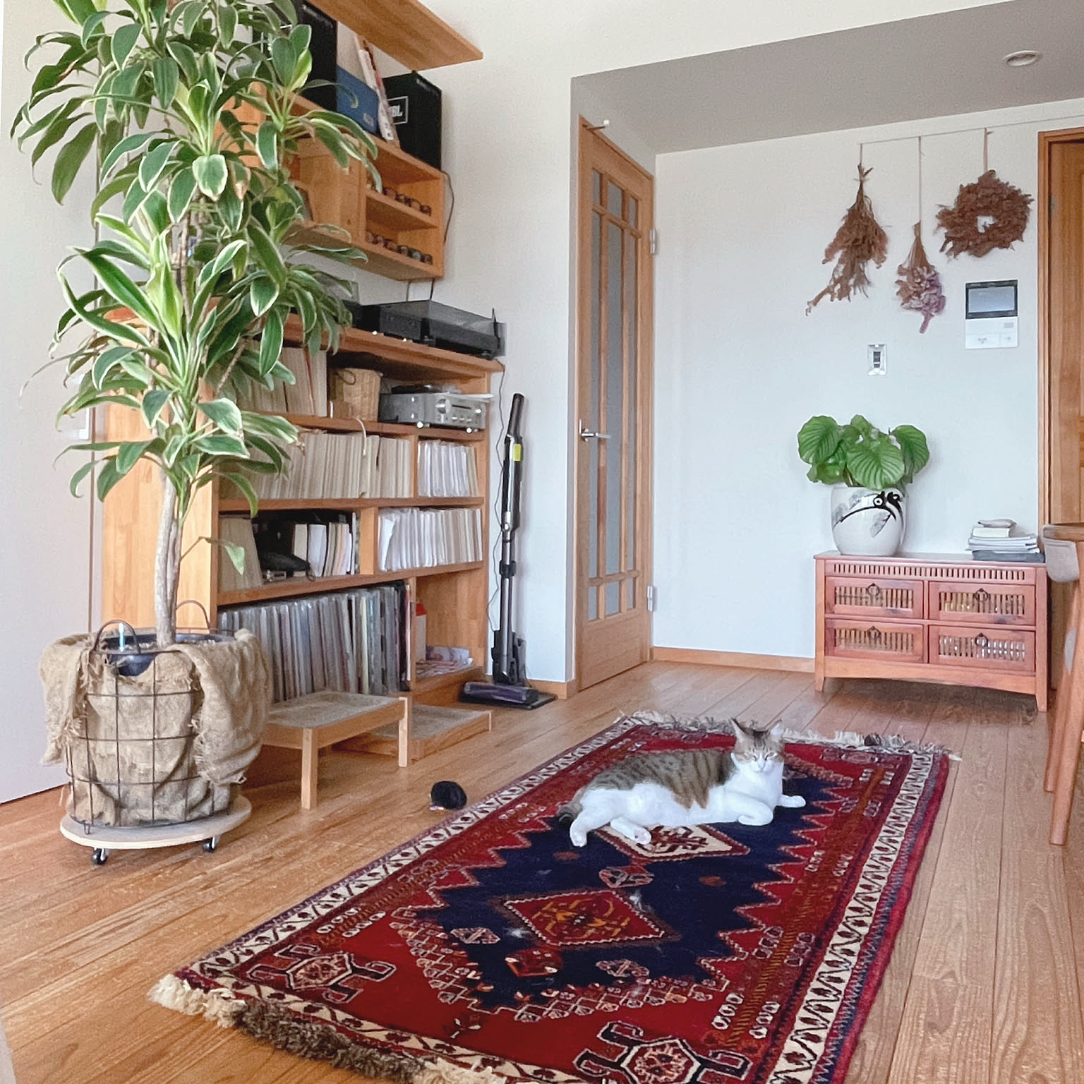 トライバルラグのおすすめ商品とおしゃれな実例 ｜ RoomClip（ルーム