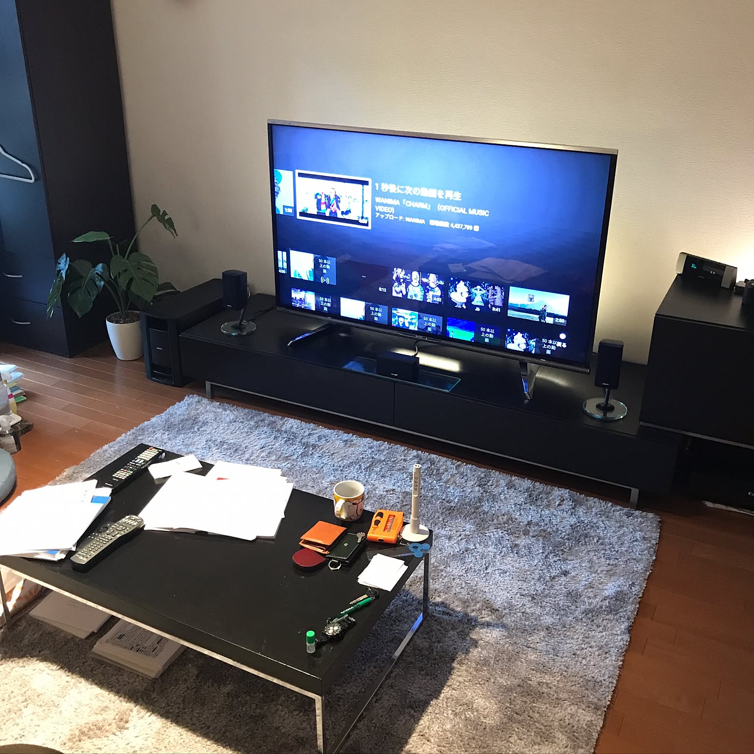 テレビボード　スピーカー テレビボード スピーカースタンドのおすすめ商品とおしゃれな実例