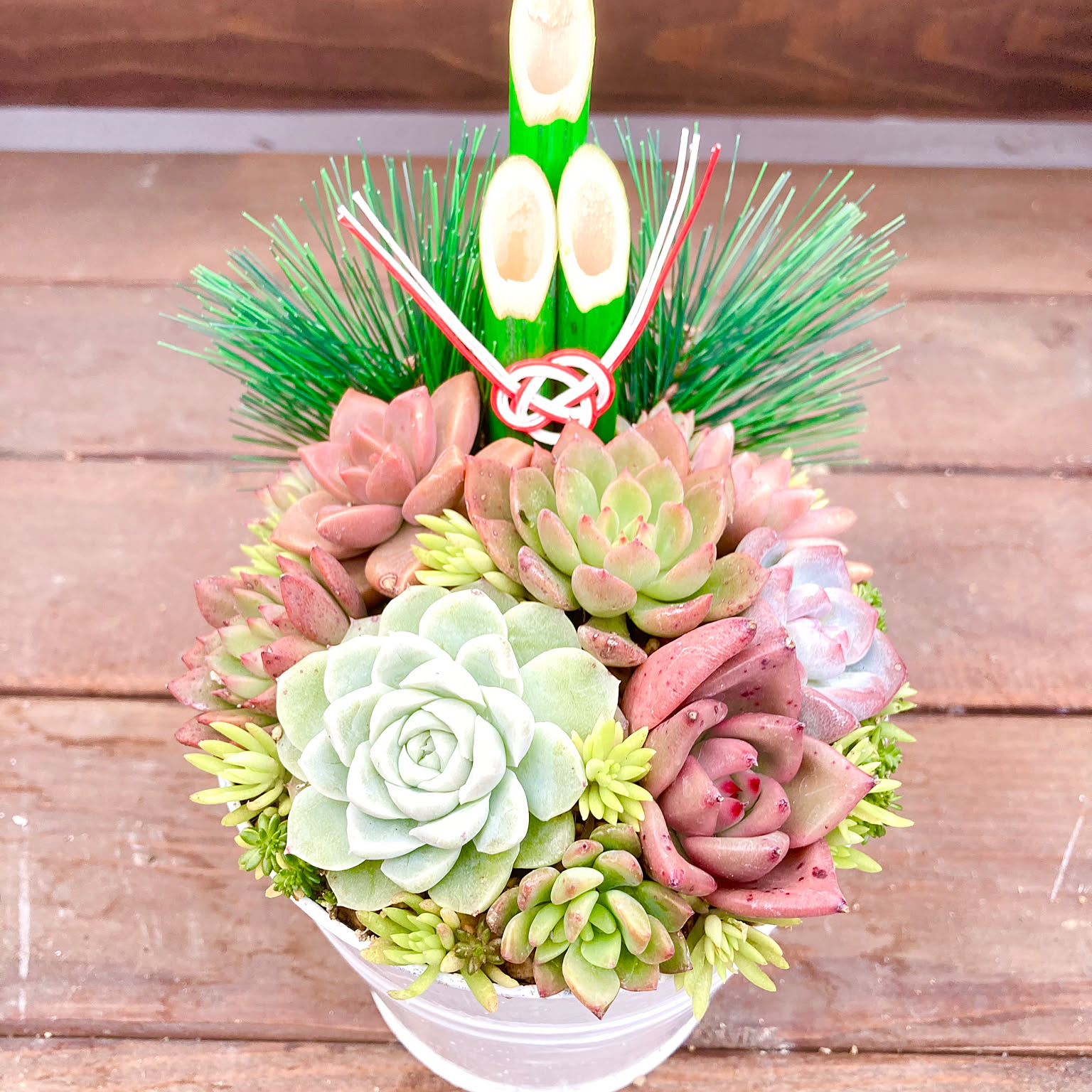 ・:*速達付き多肉植物そのまま飾れる・:*お正月.縁起物.お年賀 速達付き多肉植物そのまま飾れる・:*お正月.縁起物.お年賀 多肉植物