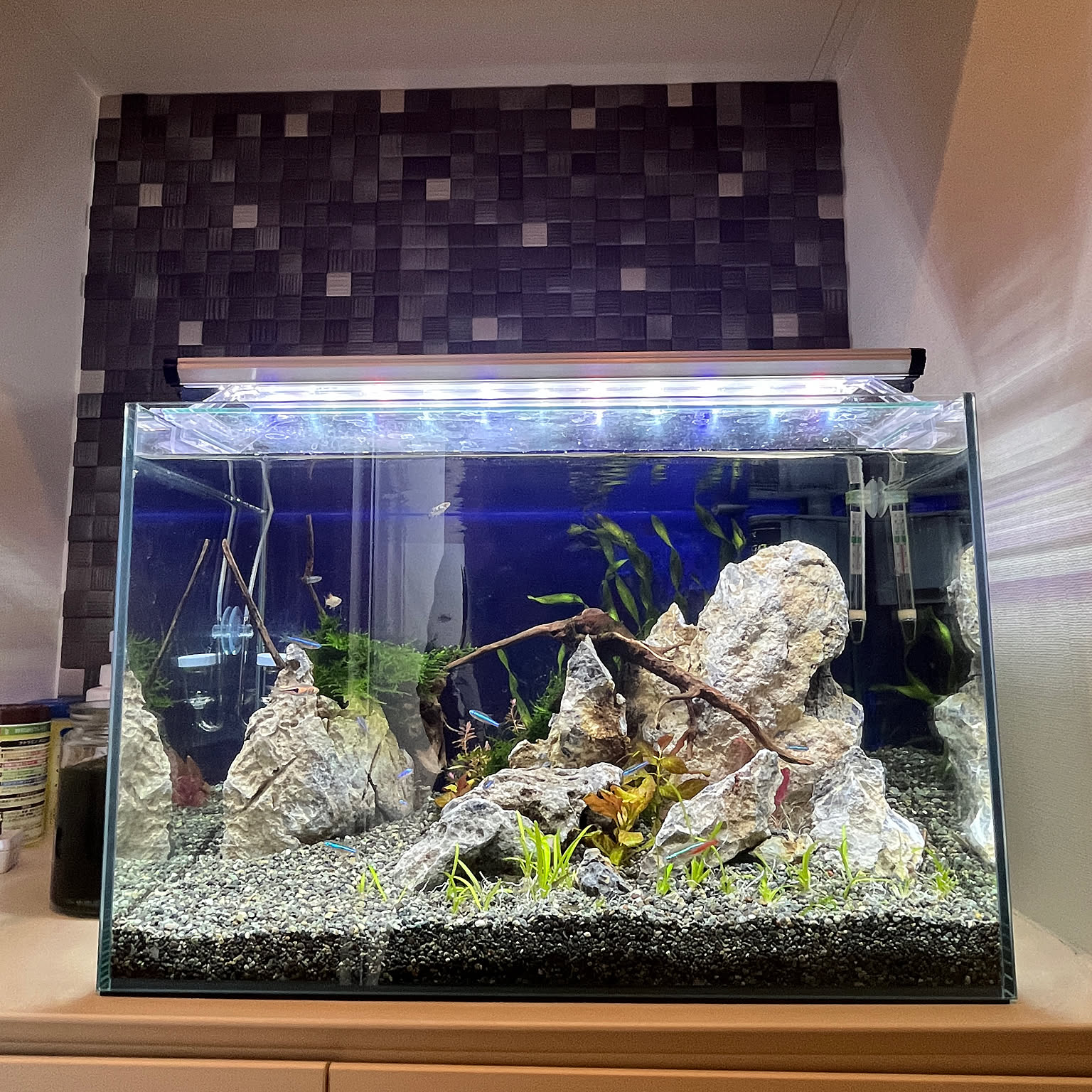 手作り一点物　多部屋ハウス　熱帯魚アクアリウムシェルター 手作り一点物 ホワイトハウス 熱帯魚アクアリウムシェルター