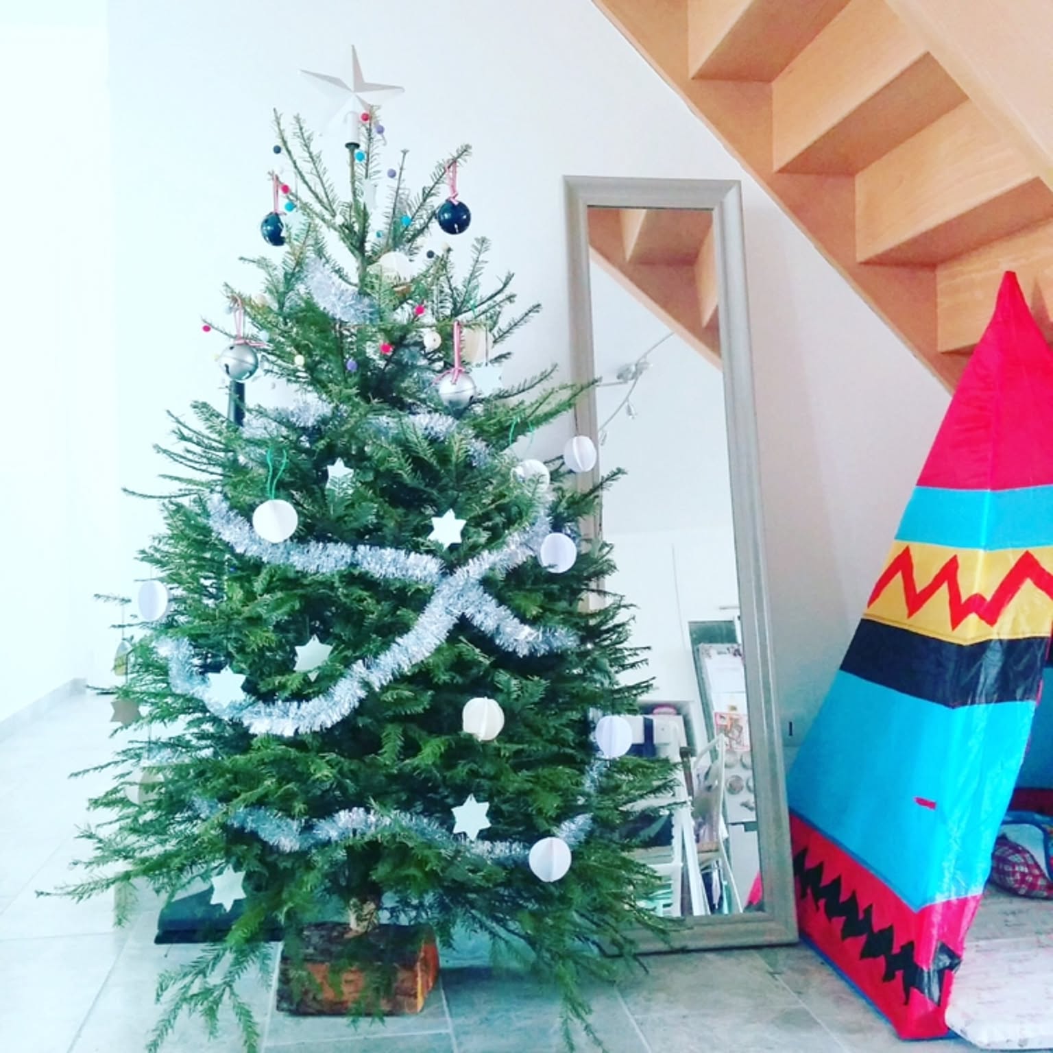 クリスマスツリー 本物のモミの木のおすすめ商品とおしゃれな実例