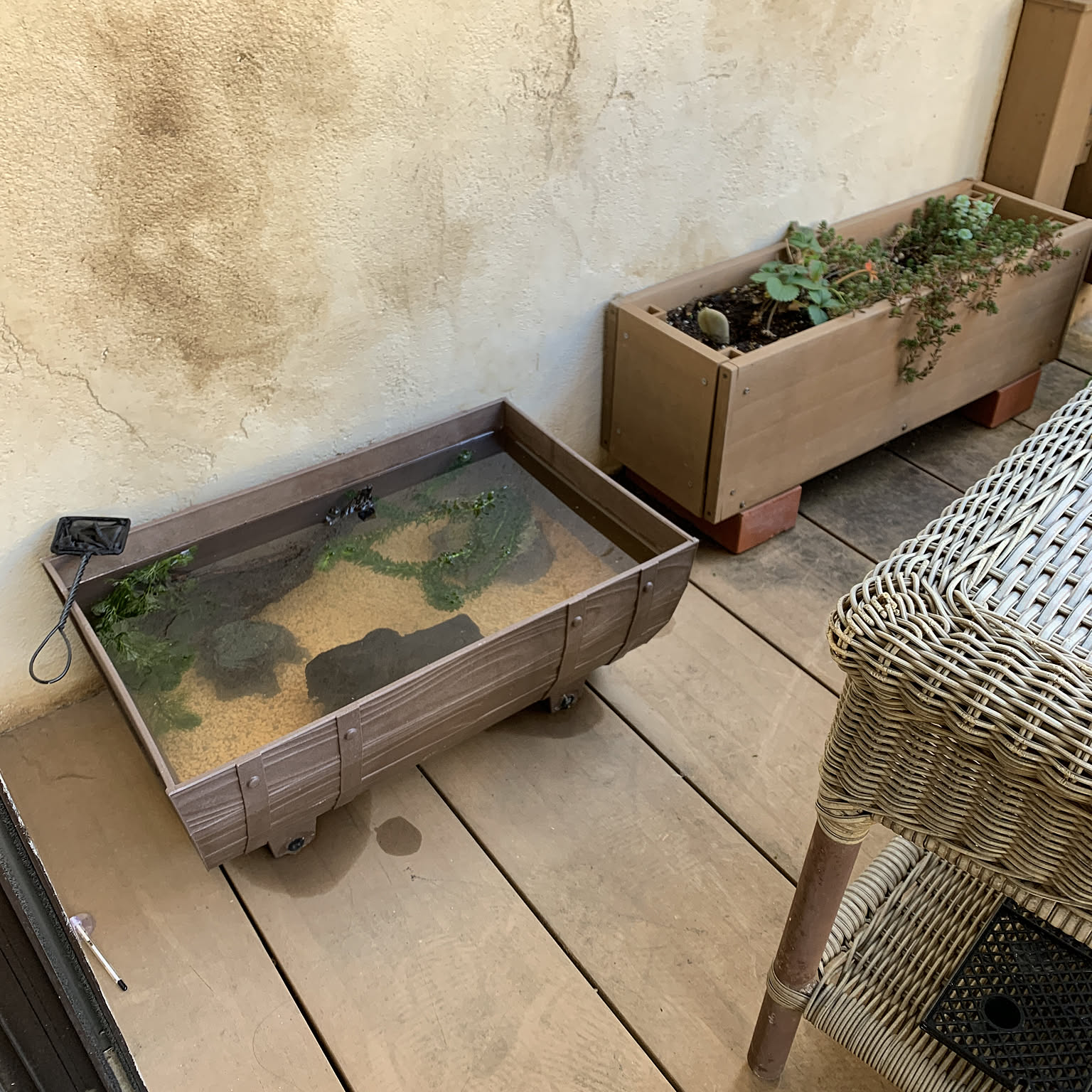 BIOTOP (ビオトープ) TOKYO購入 木製 樹皮風 プランター BIOTOP (ビオトープ) TOKYO購入 木製 樹皮風 プランター