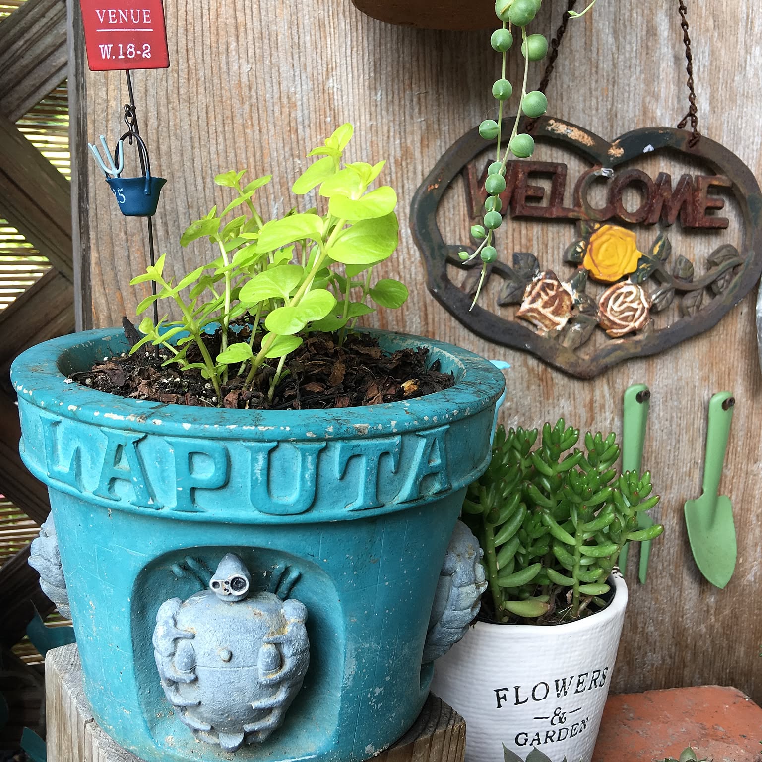 ジブリもののけ姫 植木鉢 鉢のみ