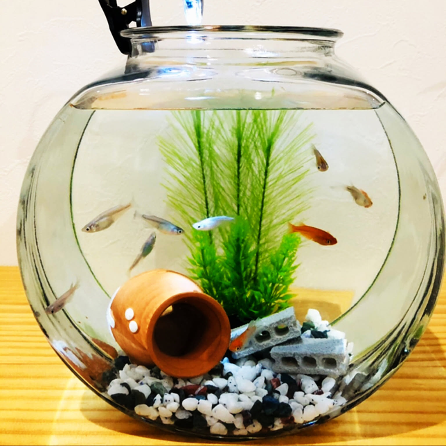 b1a3065c37c327952fcac9d671d34a