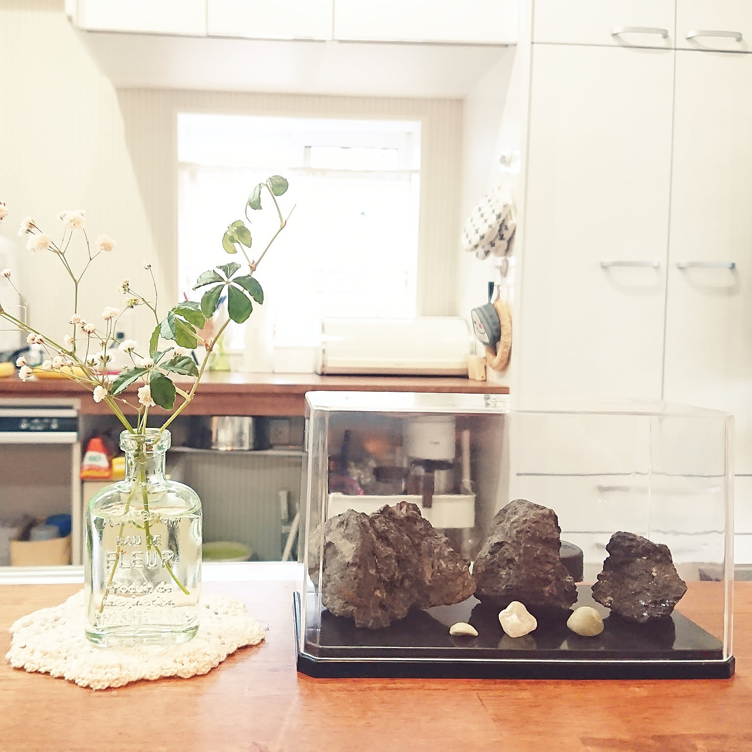 b36f59332332d2e99e1a11ebbe75b6