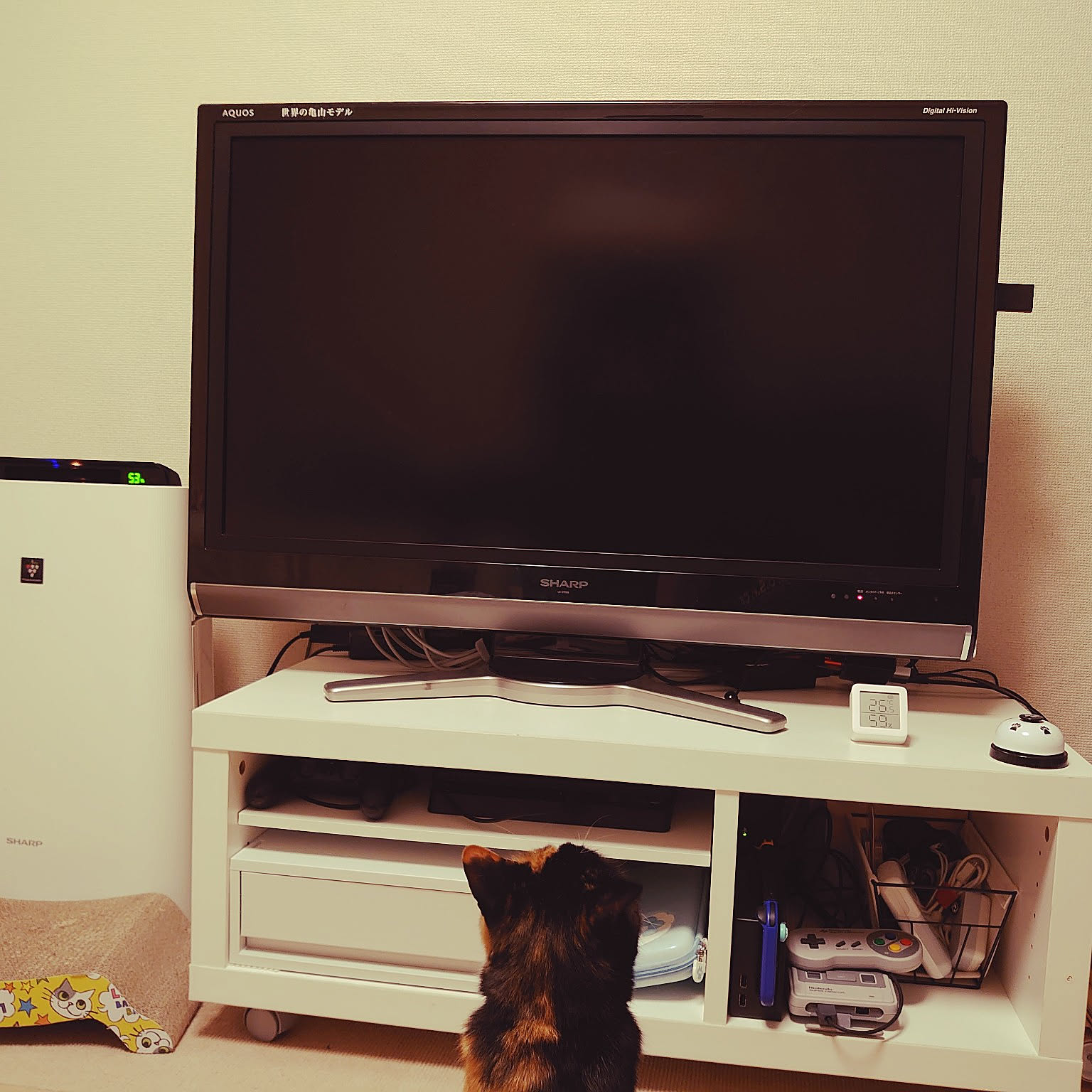 パナソニック(Panasonic) DS-FZX1200-W(ホワイト) ナノイーX搭載 セラミックファンヒーター スリムタイプ 温風1170W  温風2段階: ECカレント｜JAL Mall｜マイルがたまる・つかえる ショッピングモール