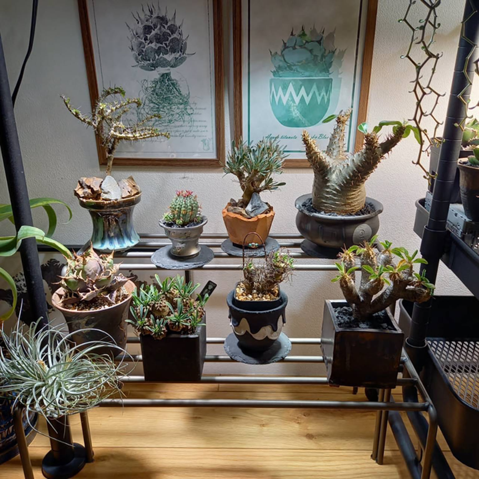 b3d10cf0148344d27edaa365d33559