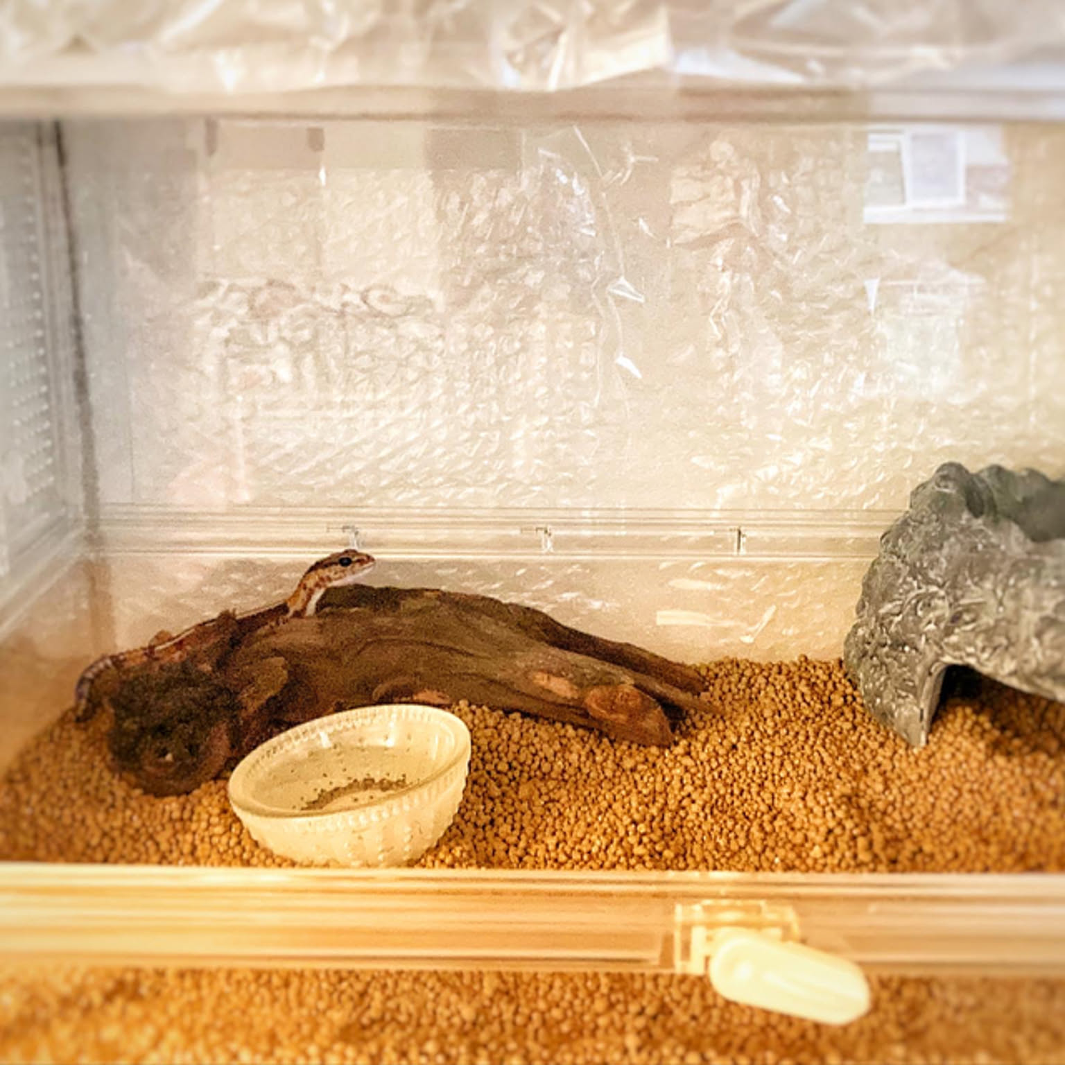 b3ddd7fe1893c74b29f1d16c215337