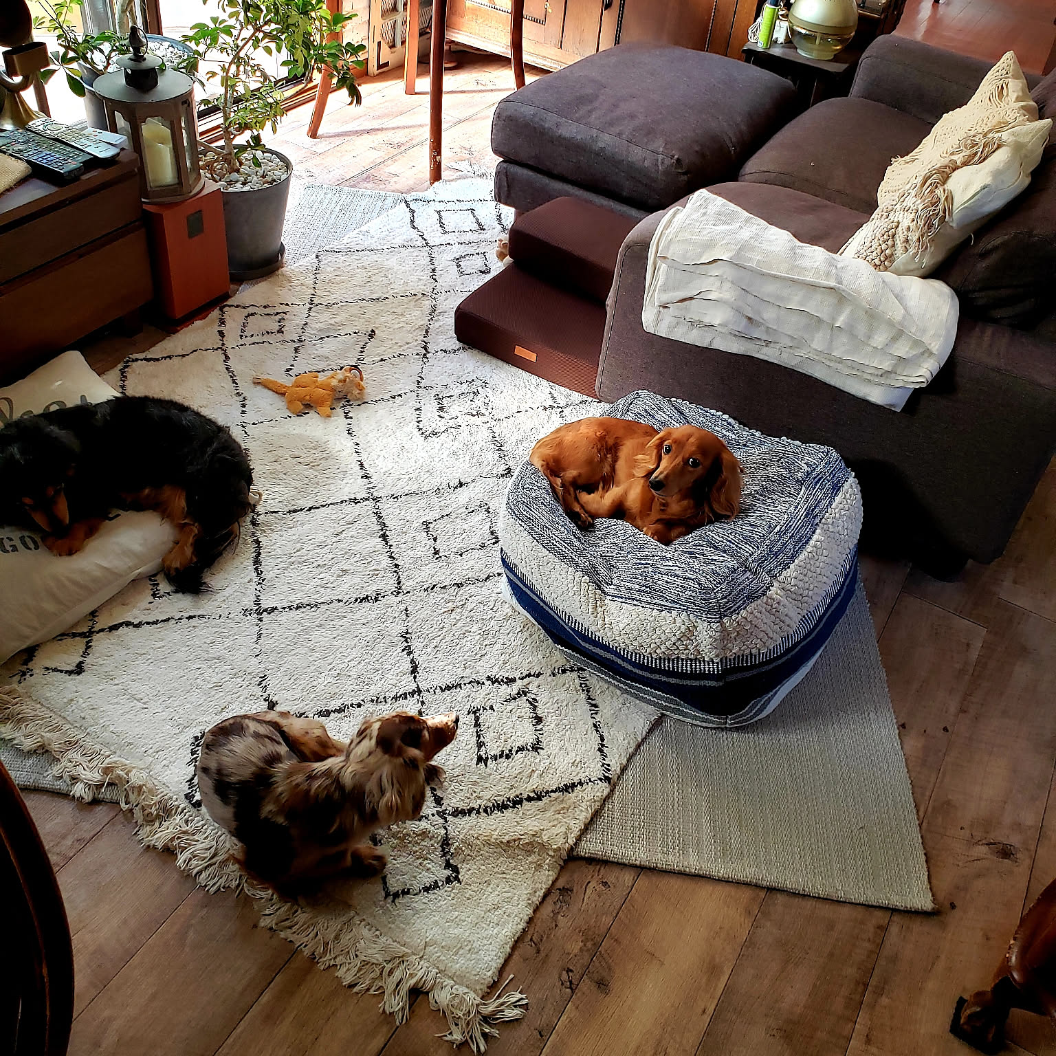 journal standard Furniture ビーズクッション カバー journal