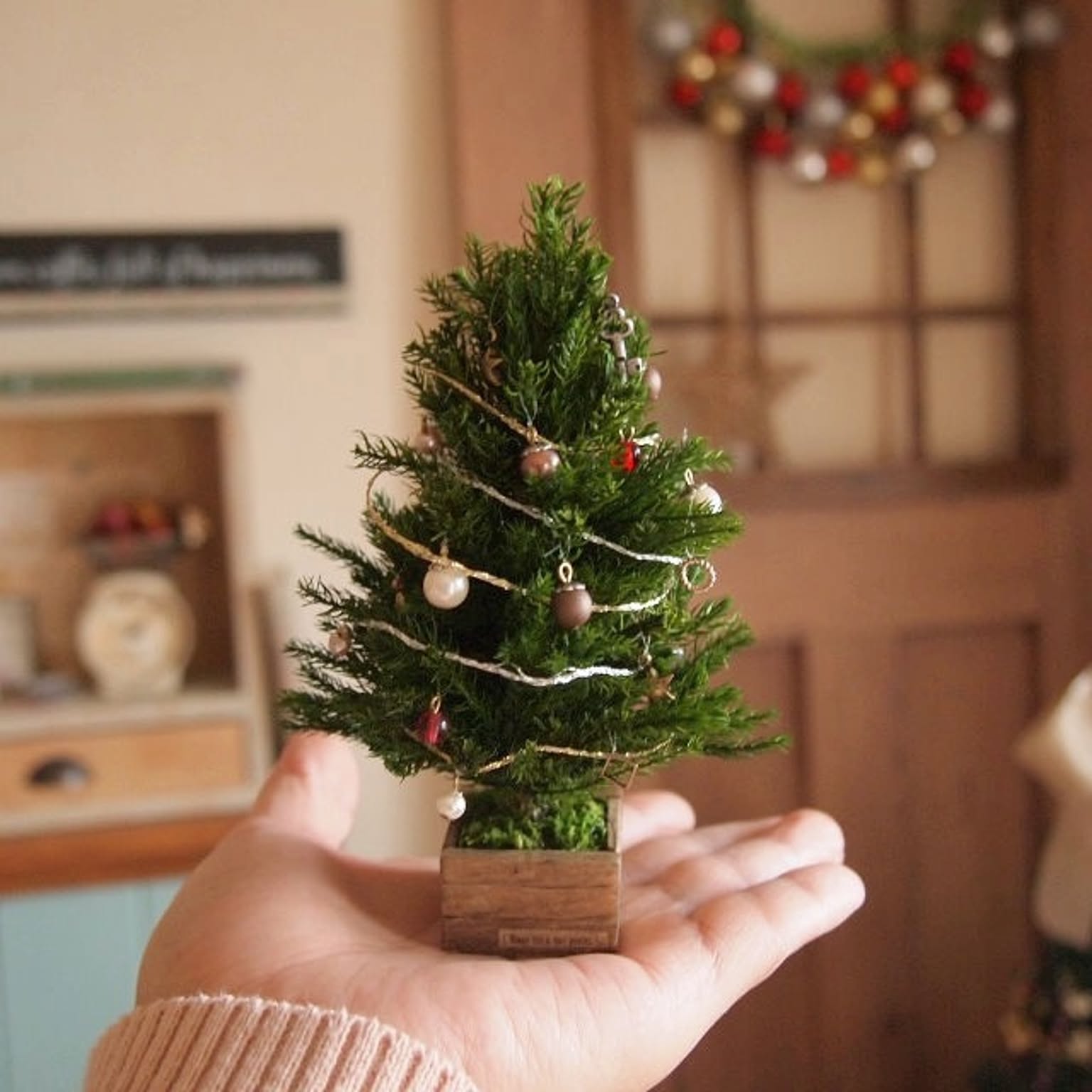 b491e8c228a2e7df04098035751e81