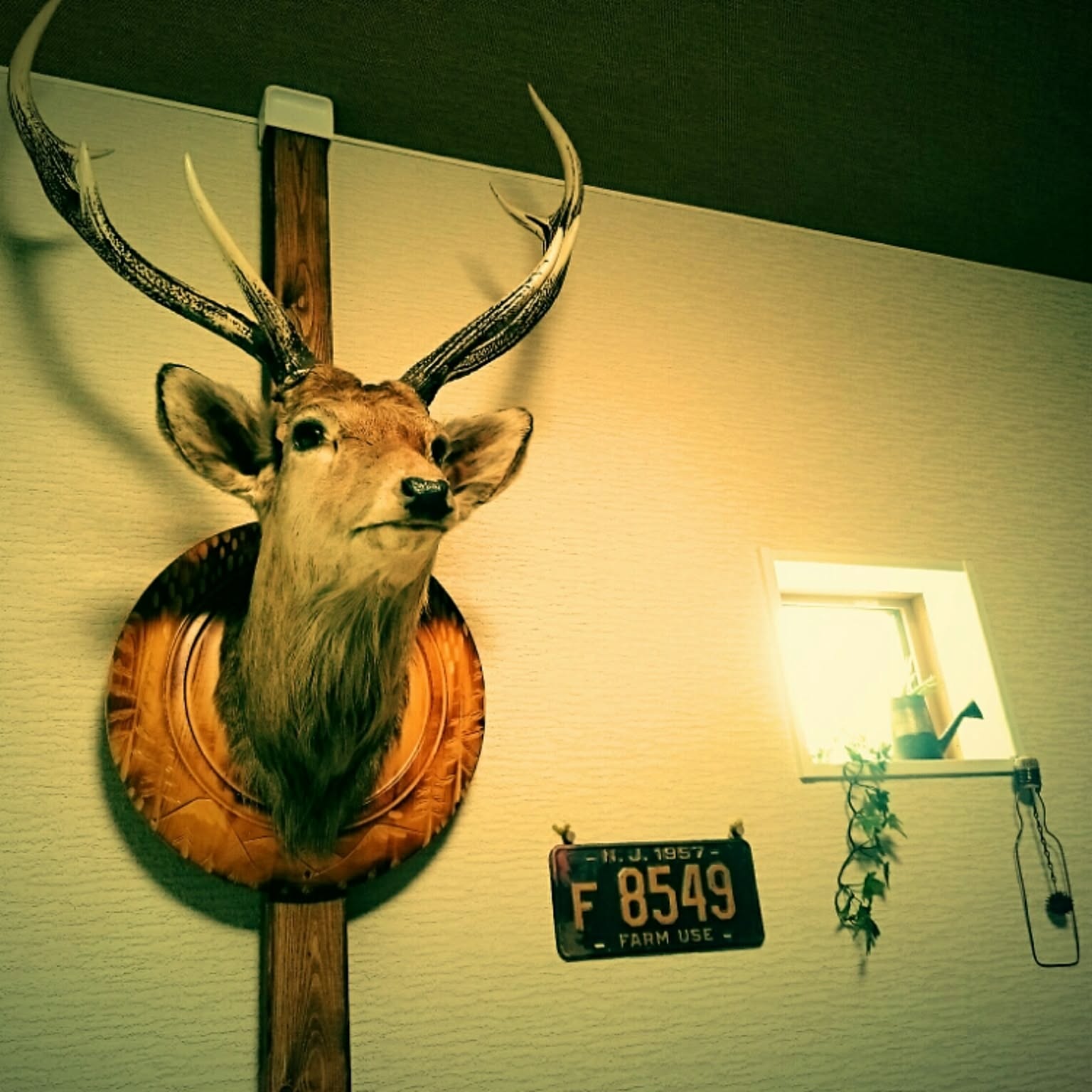 鹿 剥製のおしゃれなアレンジ・飾り方のインテリア実例 ｜ RoomClip