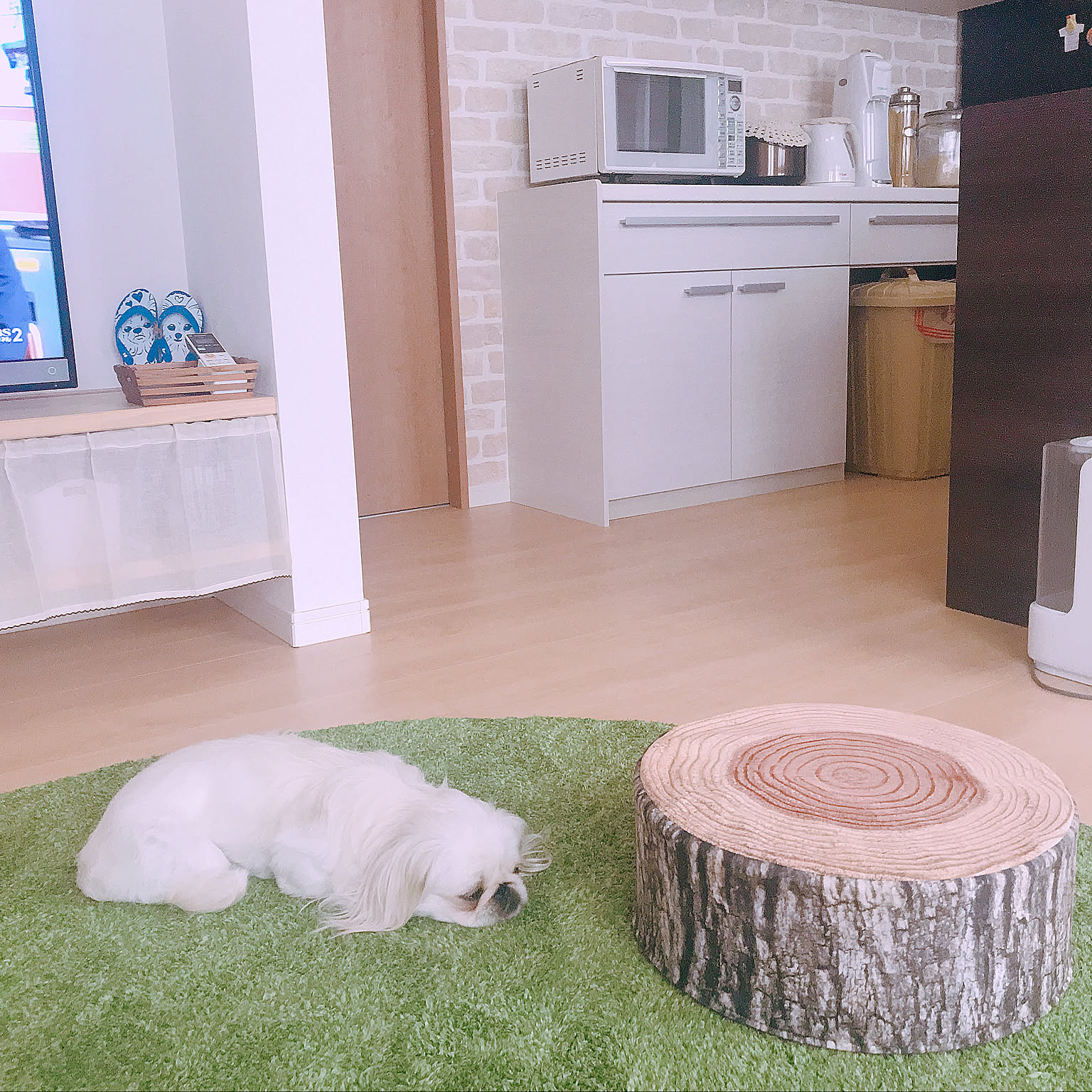 b4f51366e3bd45a983159c9370121a