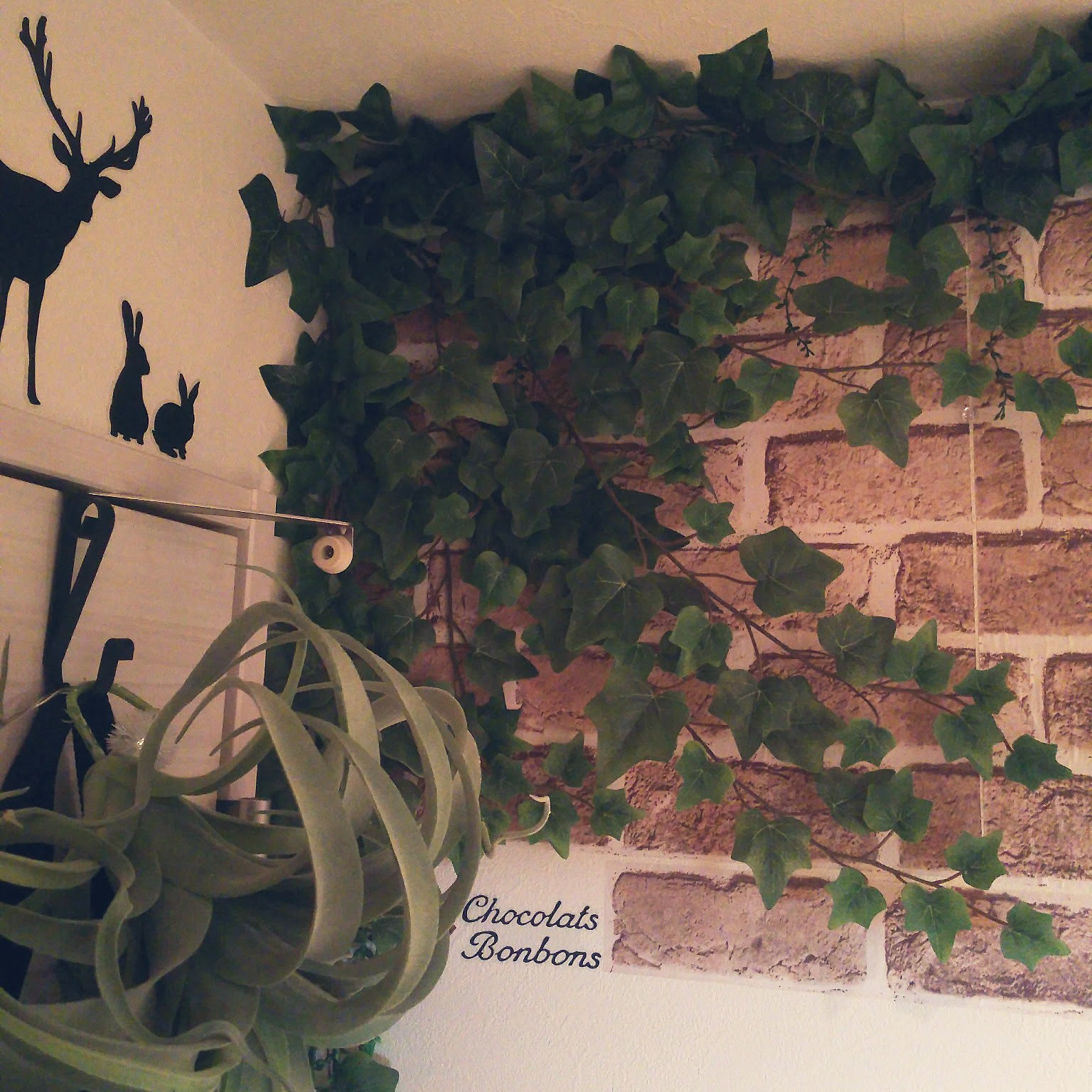 ロゼッタとグリーンの壁面アレンジ⚪︎ドライフラワー ロゼッタとグリーンの壁面アレンジ⚪︎ドライフラワー